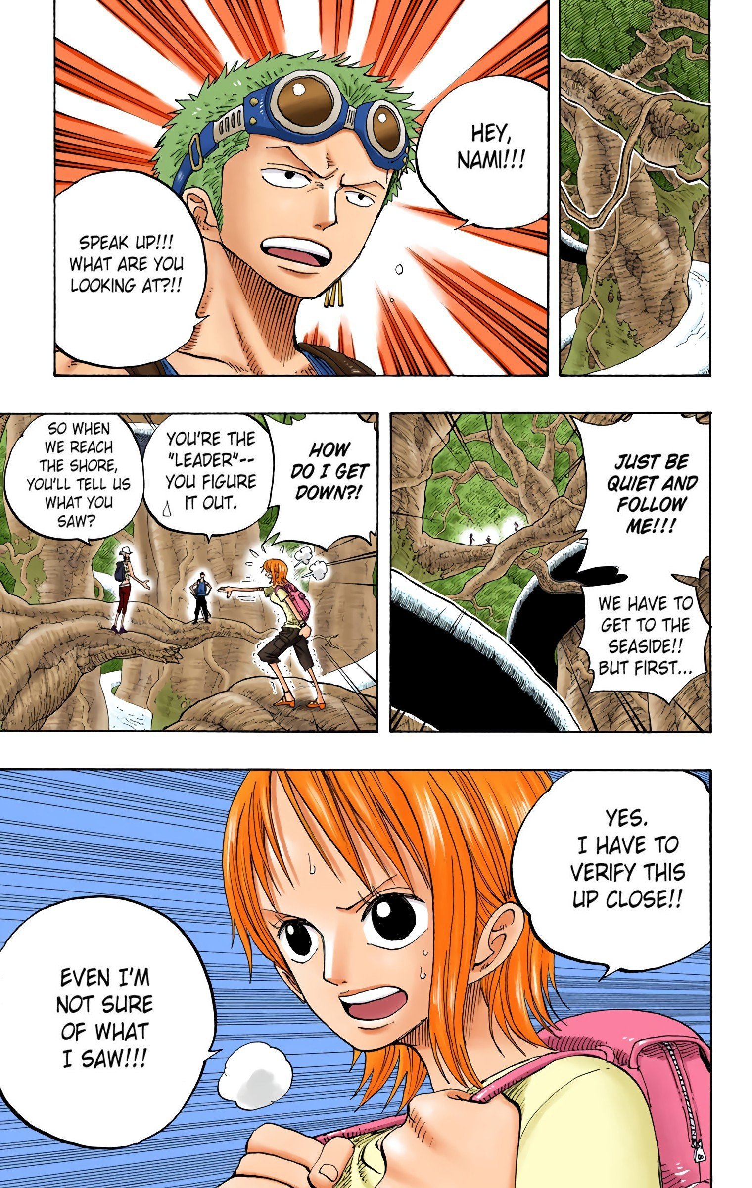 One Piece Colored Manga