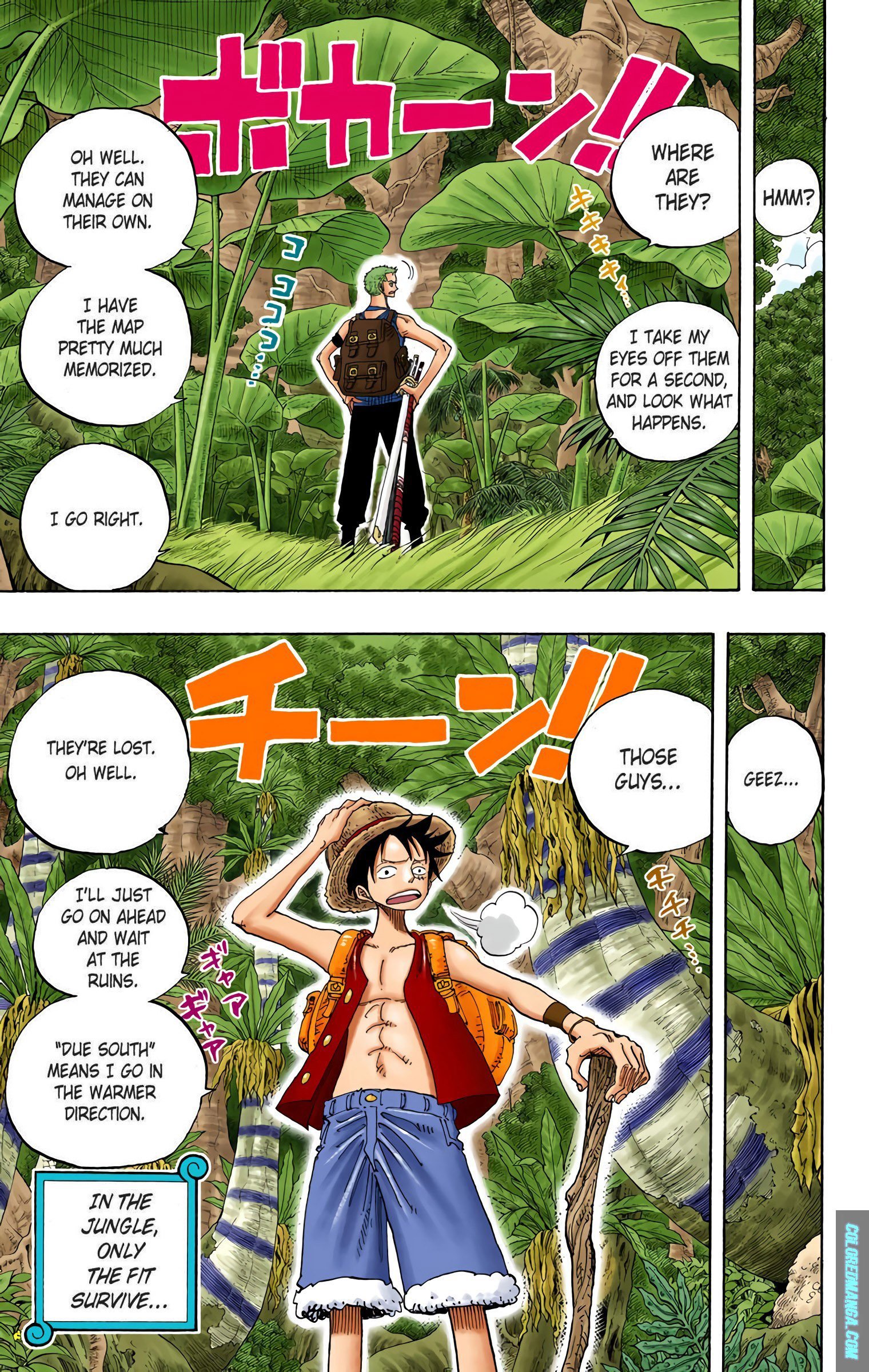 One Piece Colored Manga