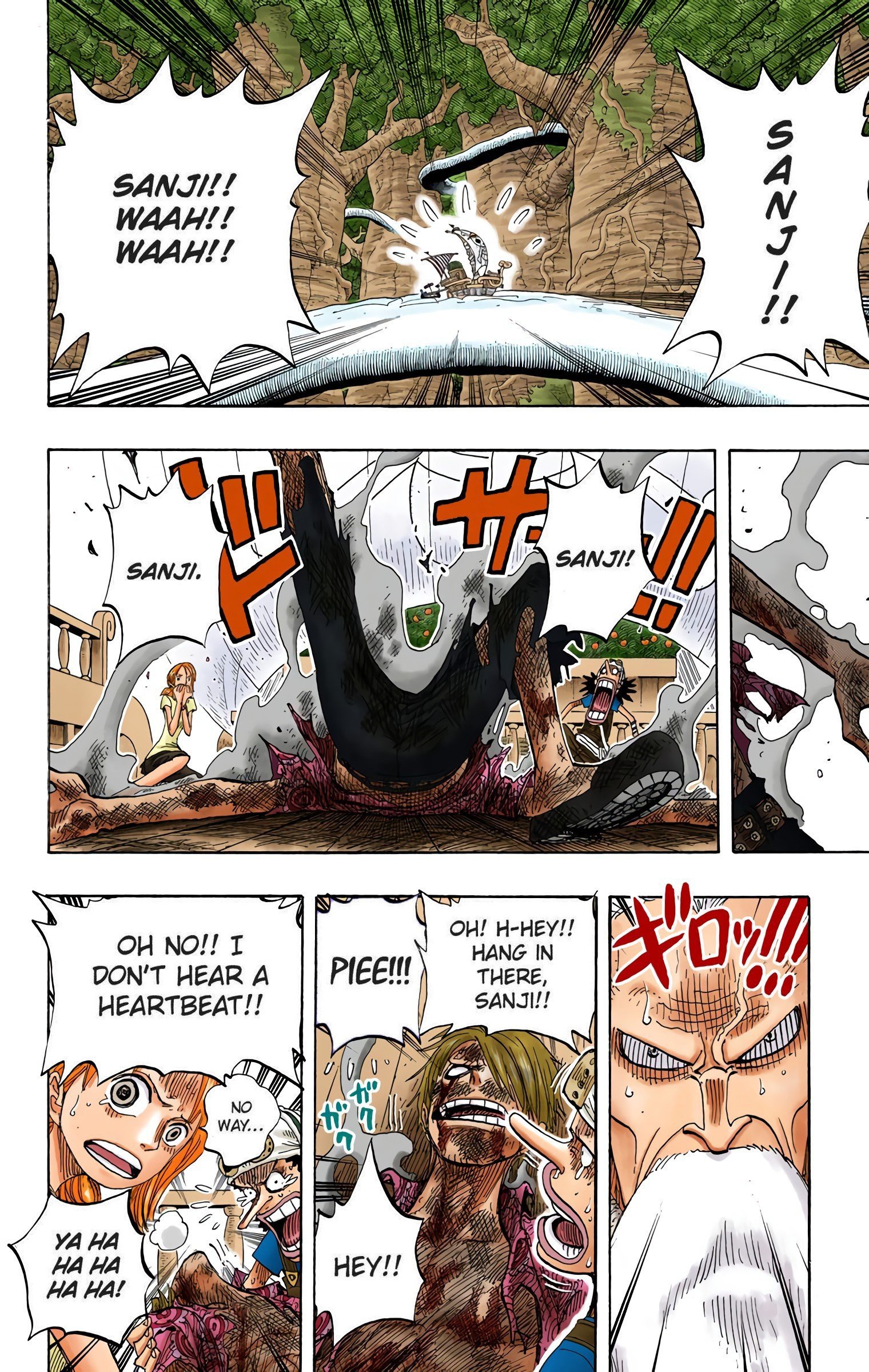 One Piece Colored Manga