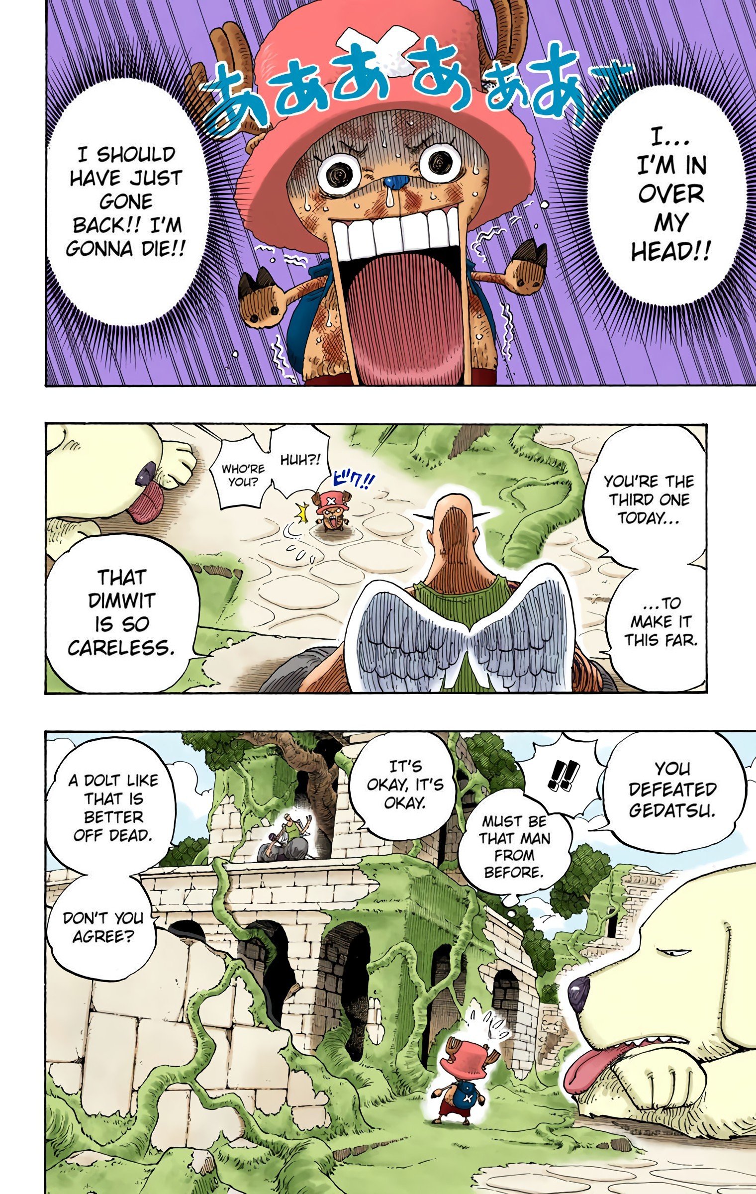 One Piece Colored Manga