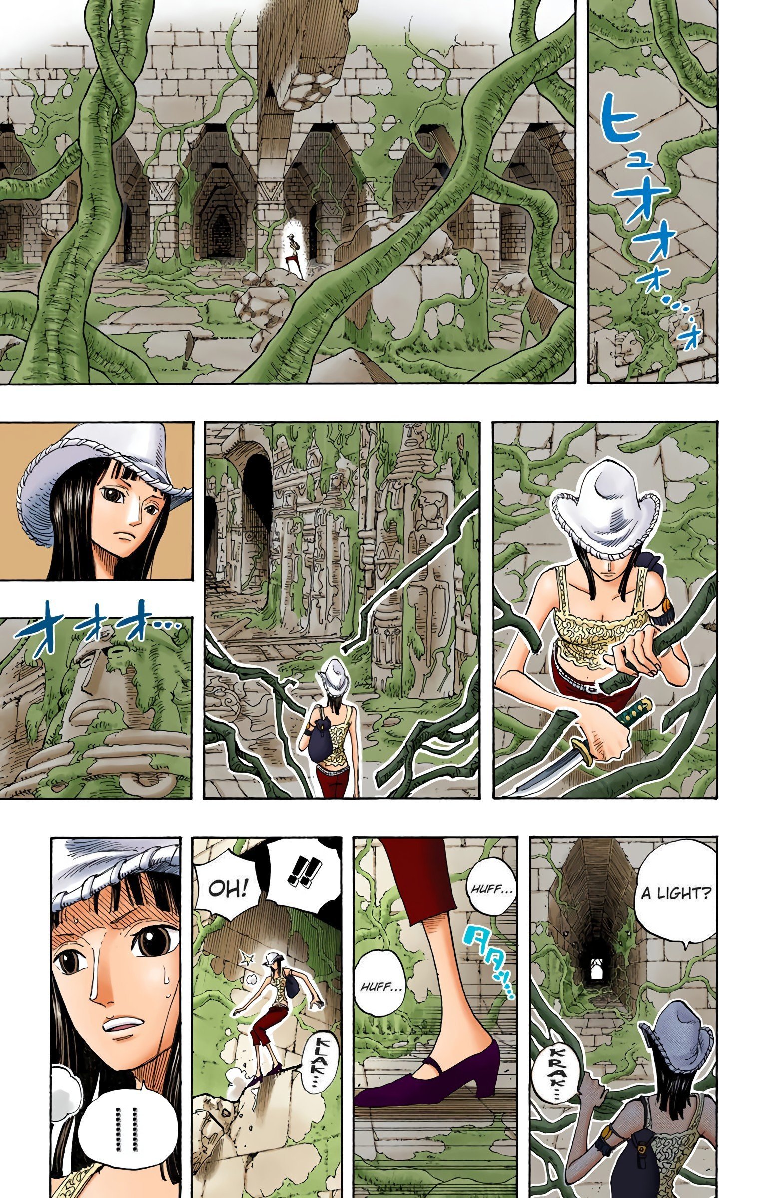 One Piece Colored Manga