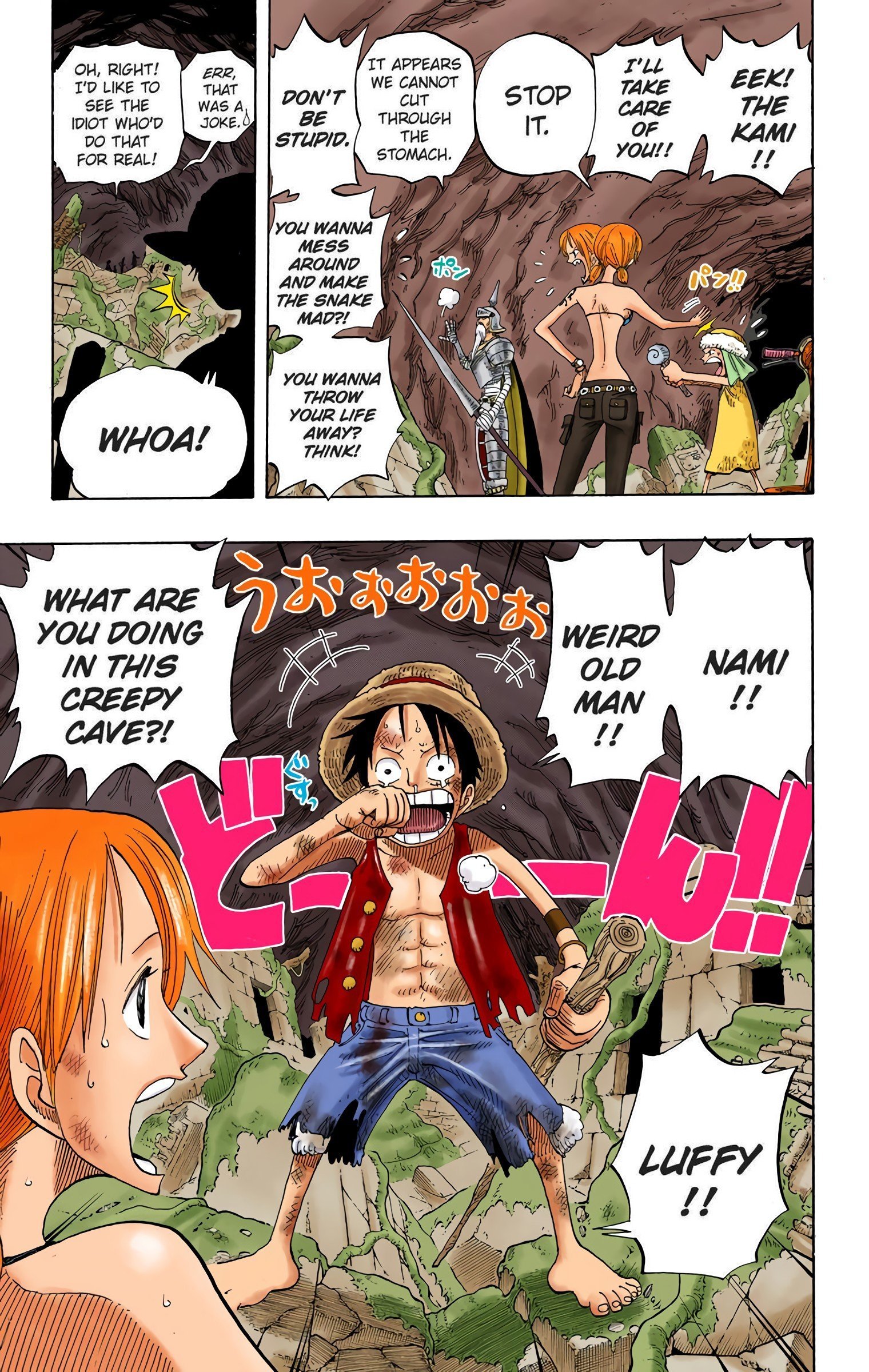 One Piece Colored Manga