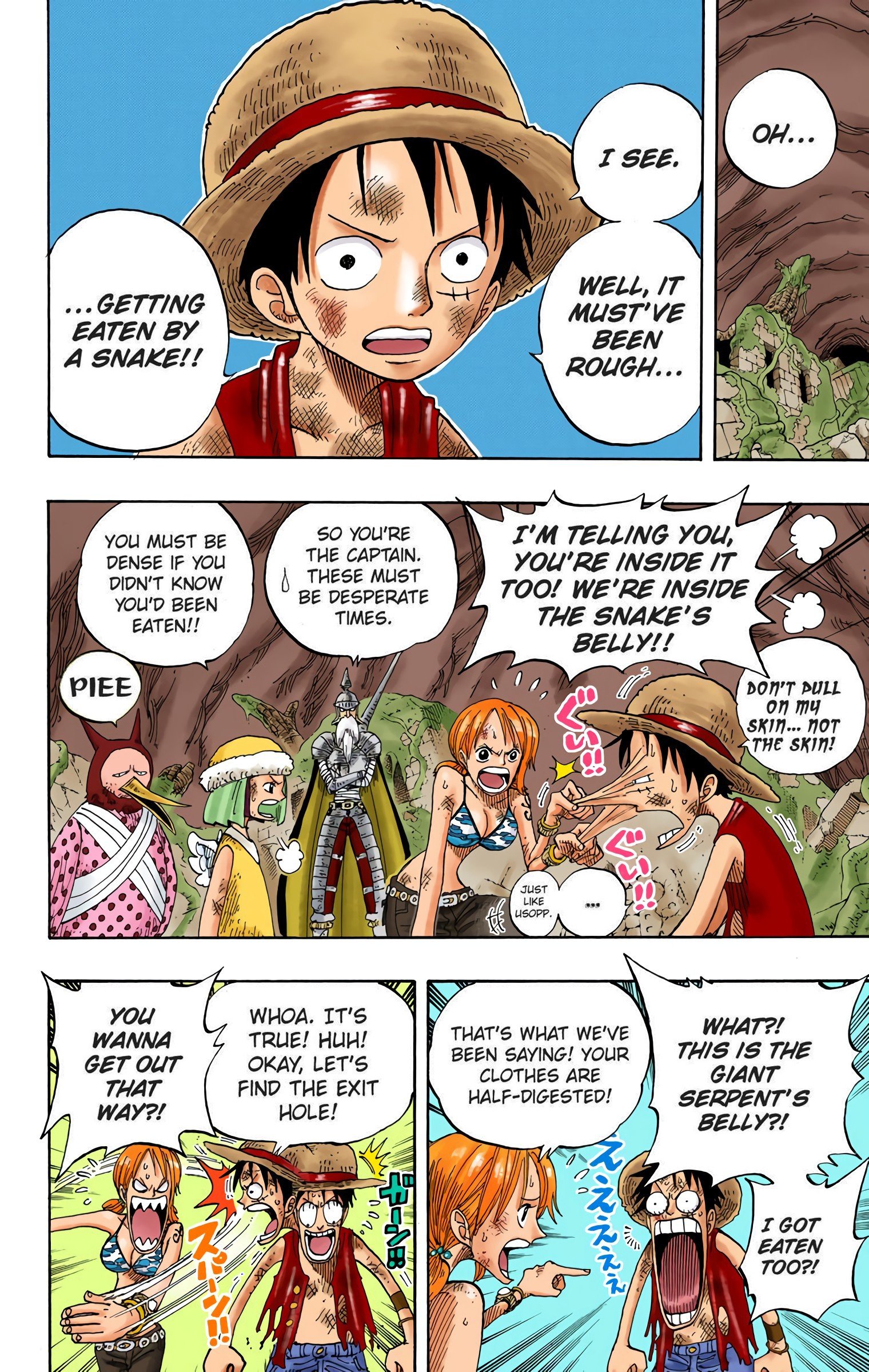 One Piece Colored Manga