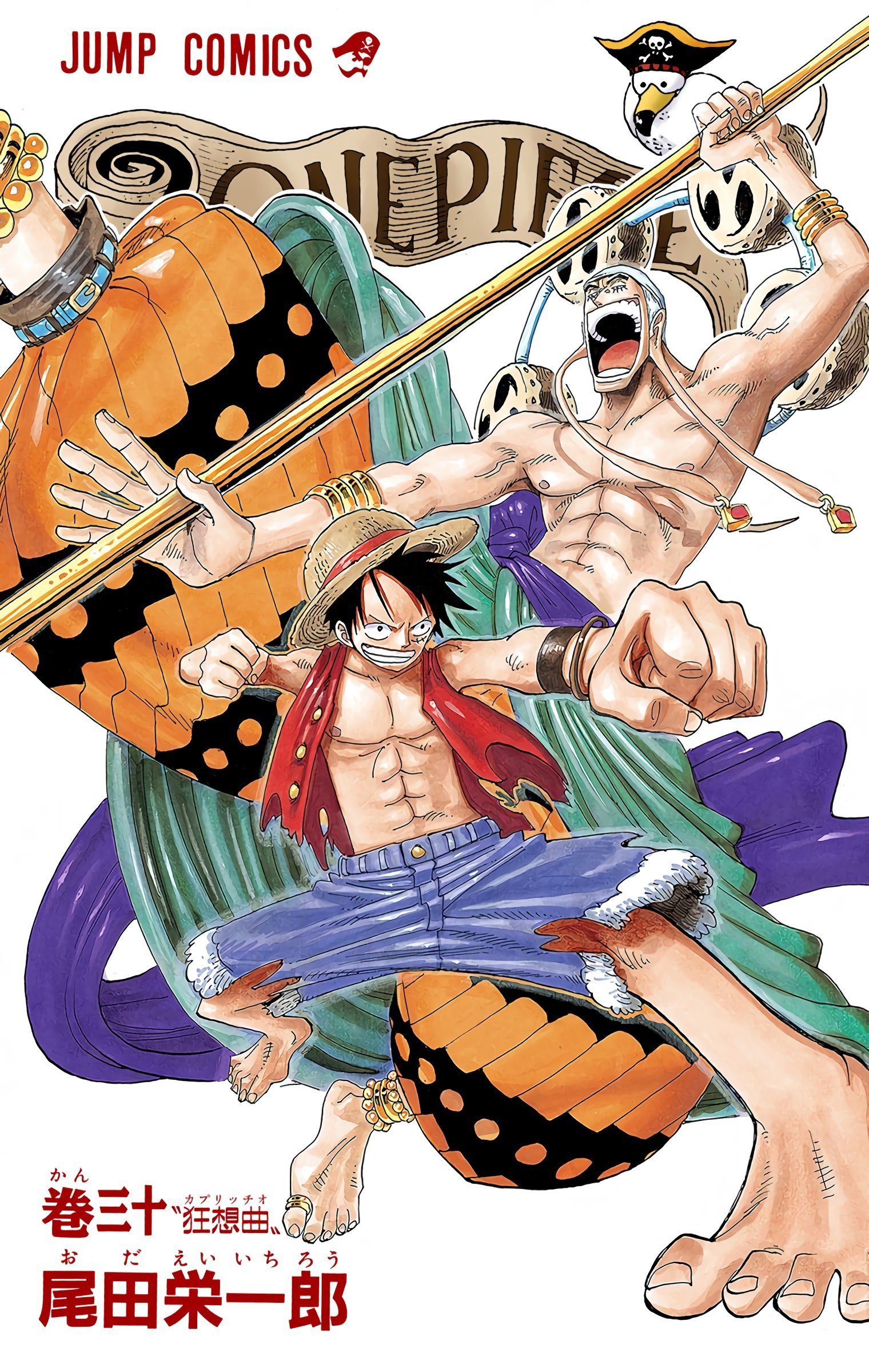 One Piece Colored Manga