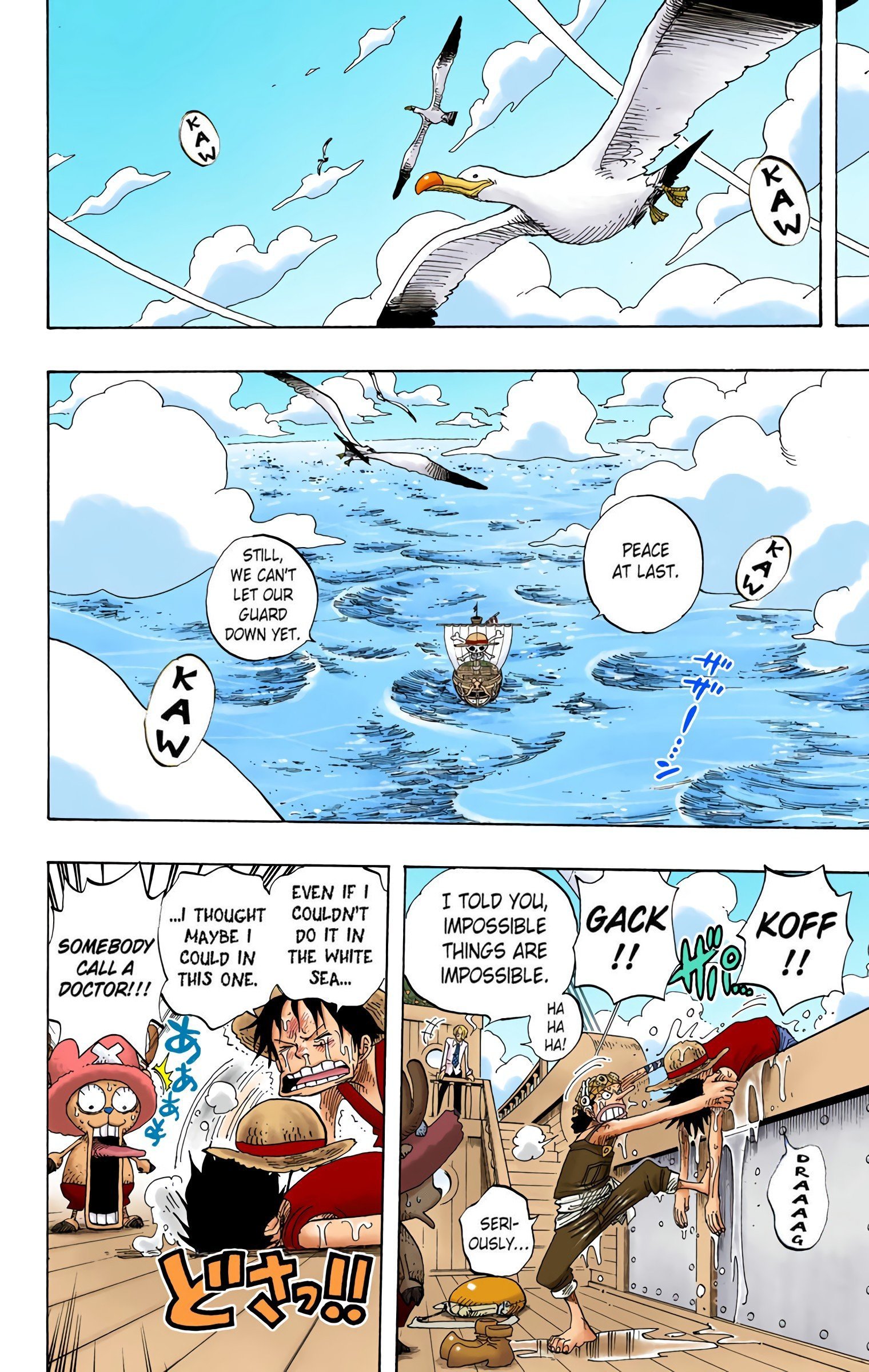 One Piece Colored Manga