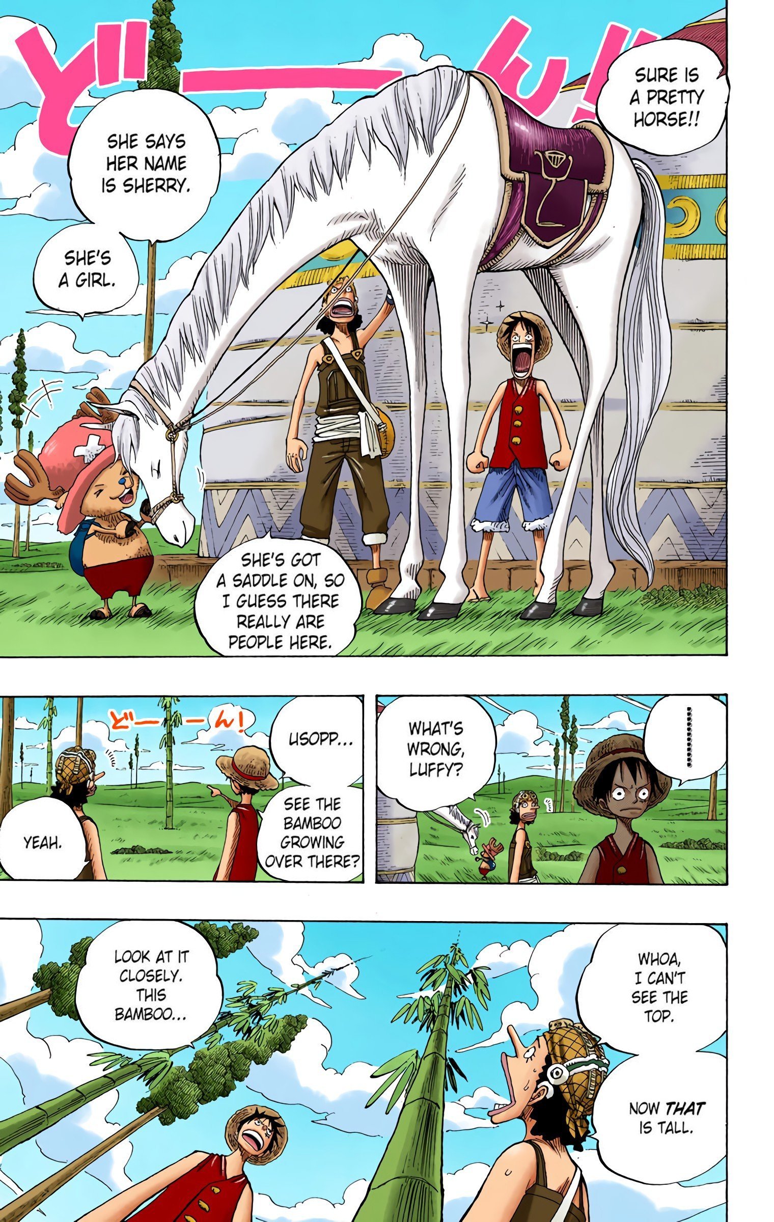 One Piece Colored Manga