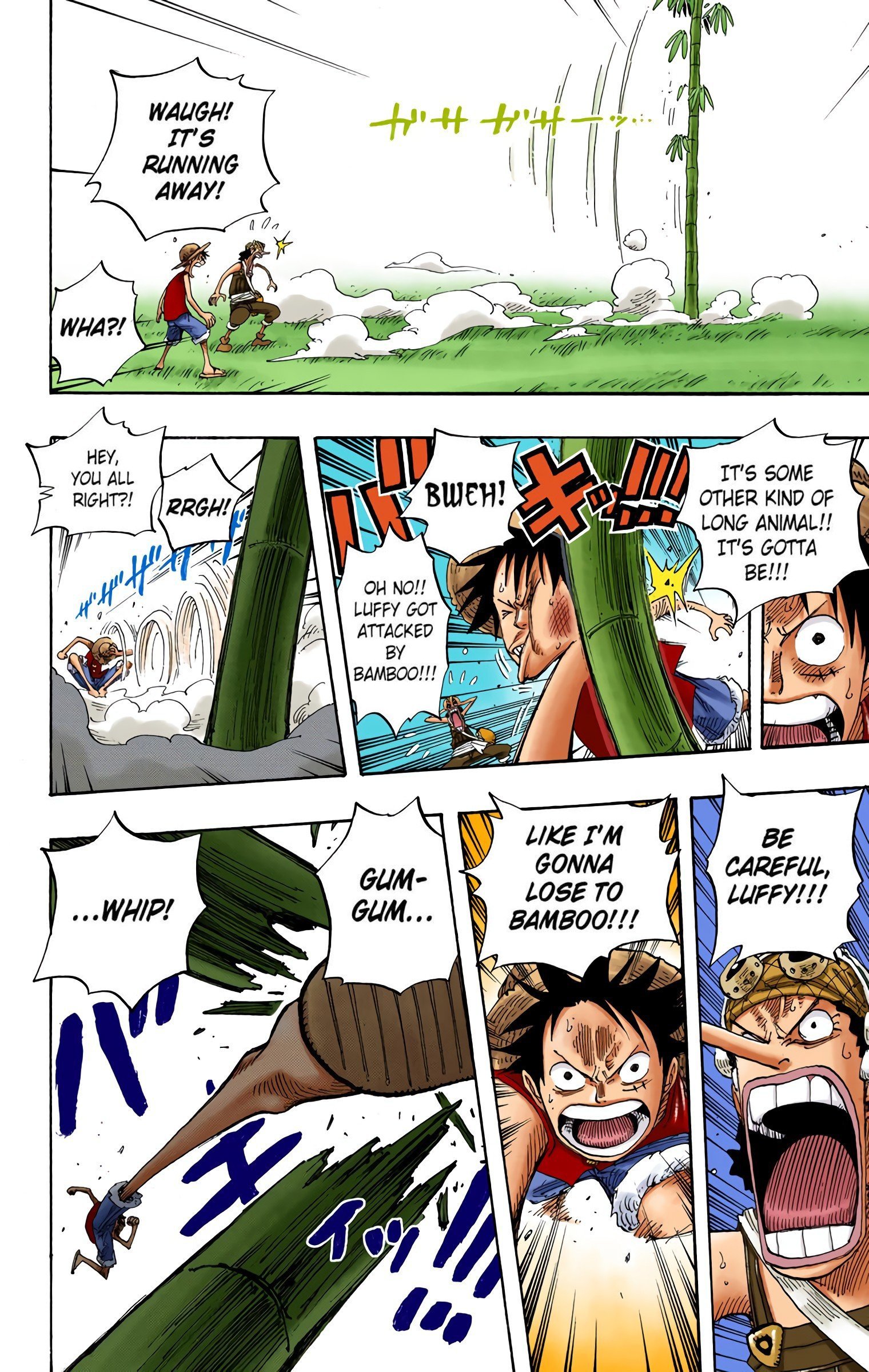 One Piece Colored Manga