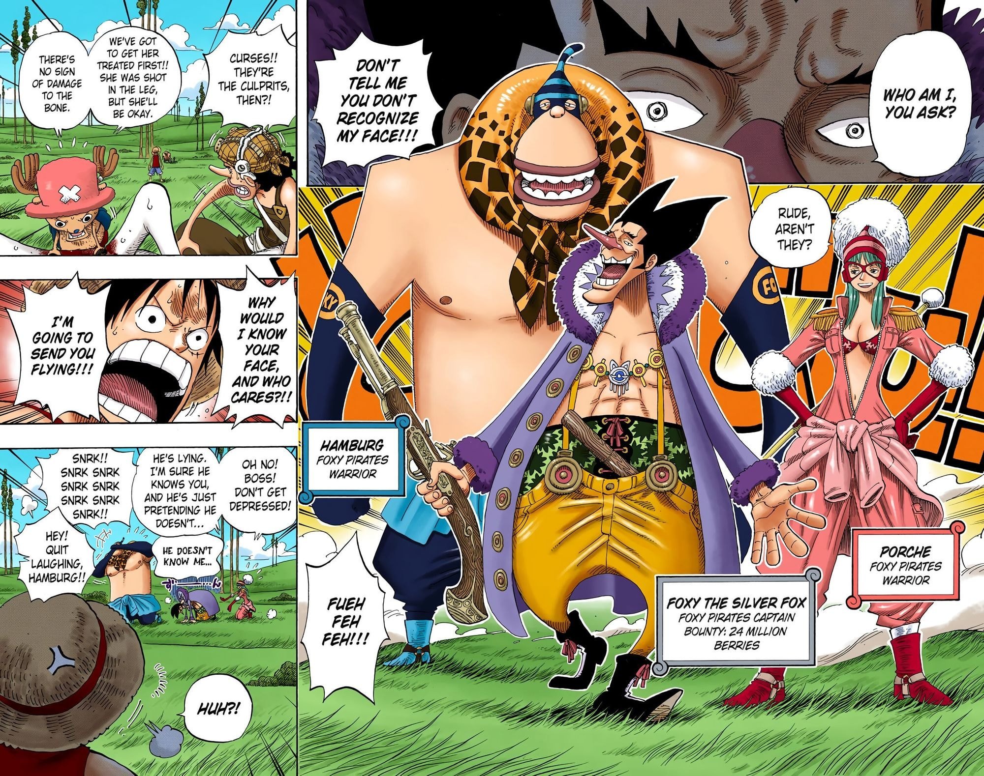 One Piece Colored Manga