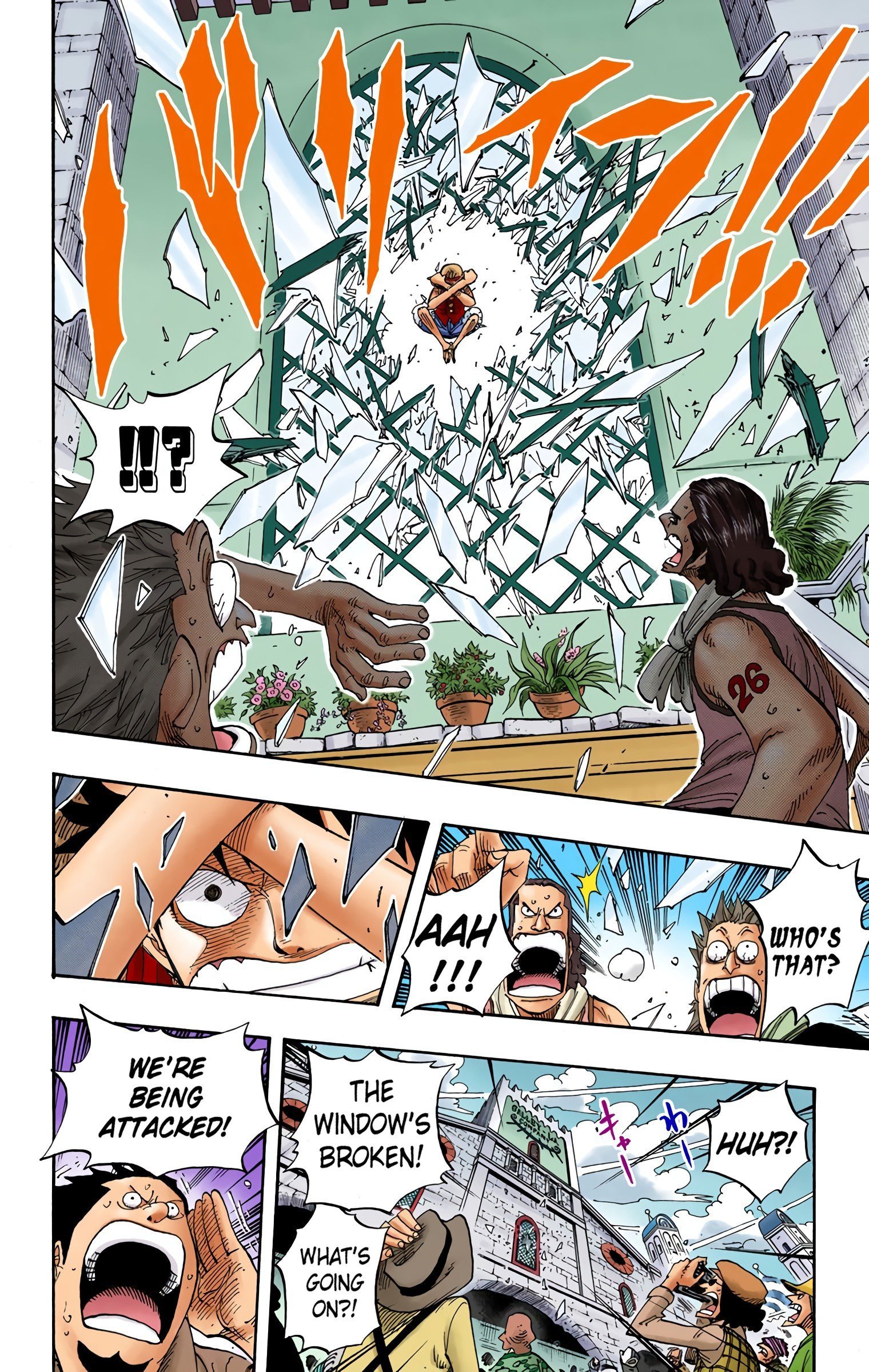 One Piece Colored Manga