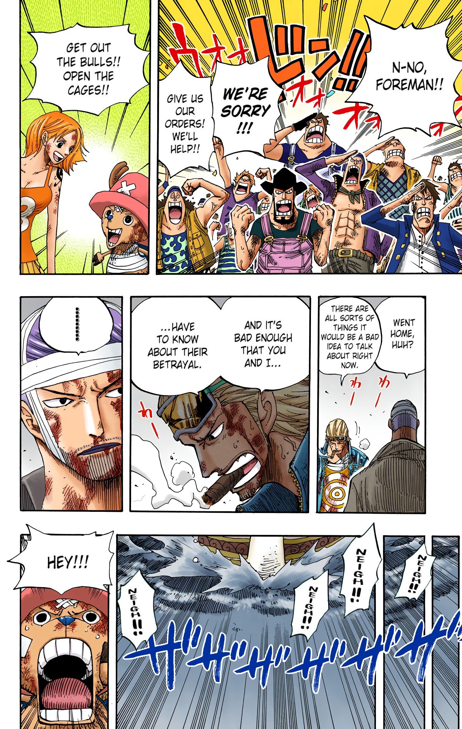 One Piece Colored Manga