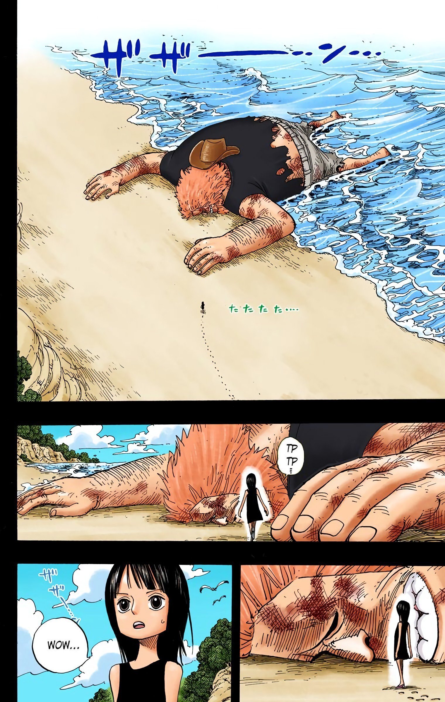 One Piece Colored Manga