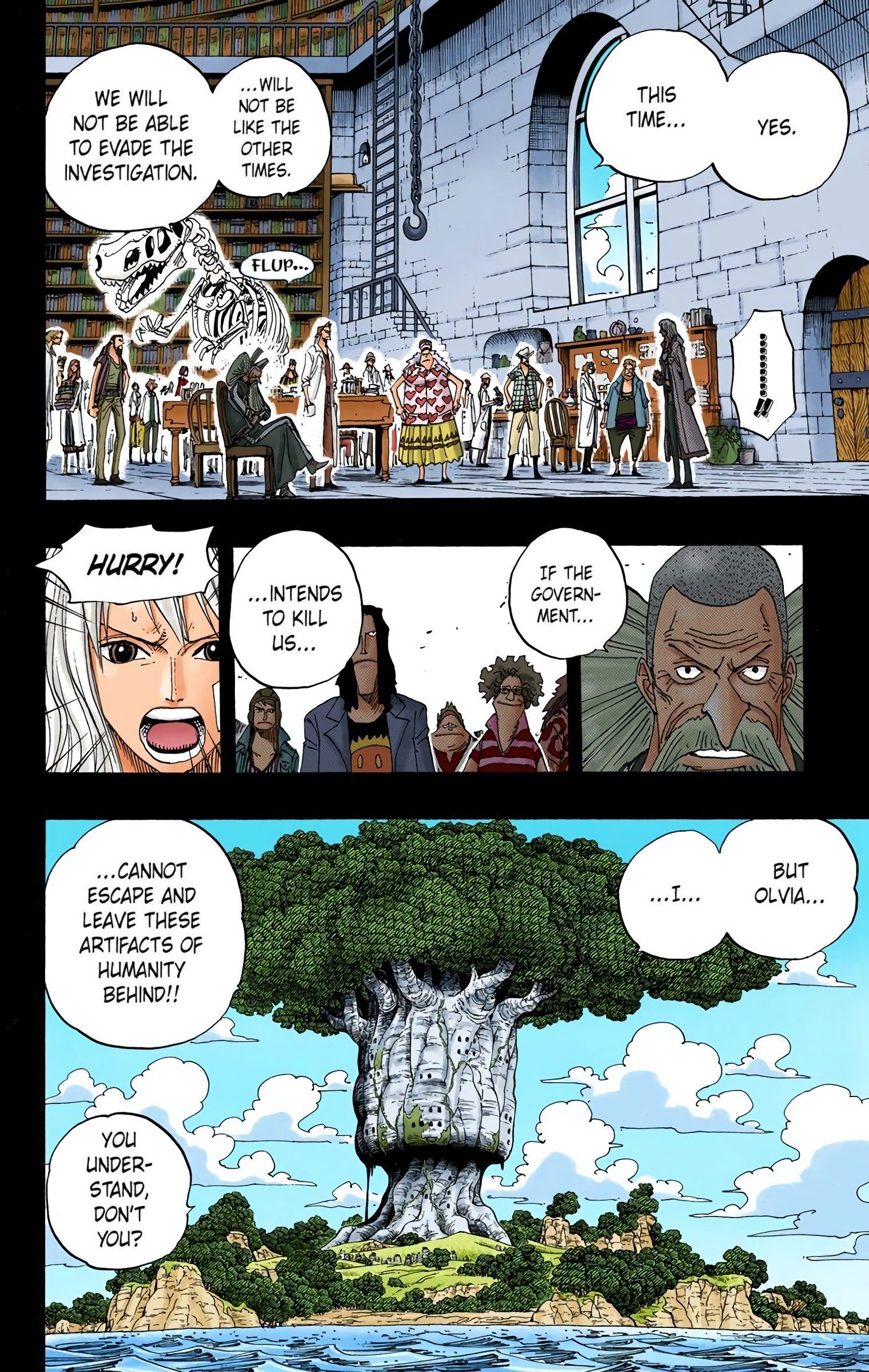 One Piece Colored Manga