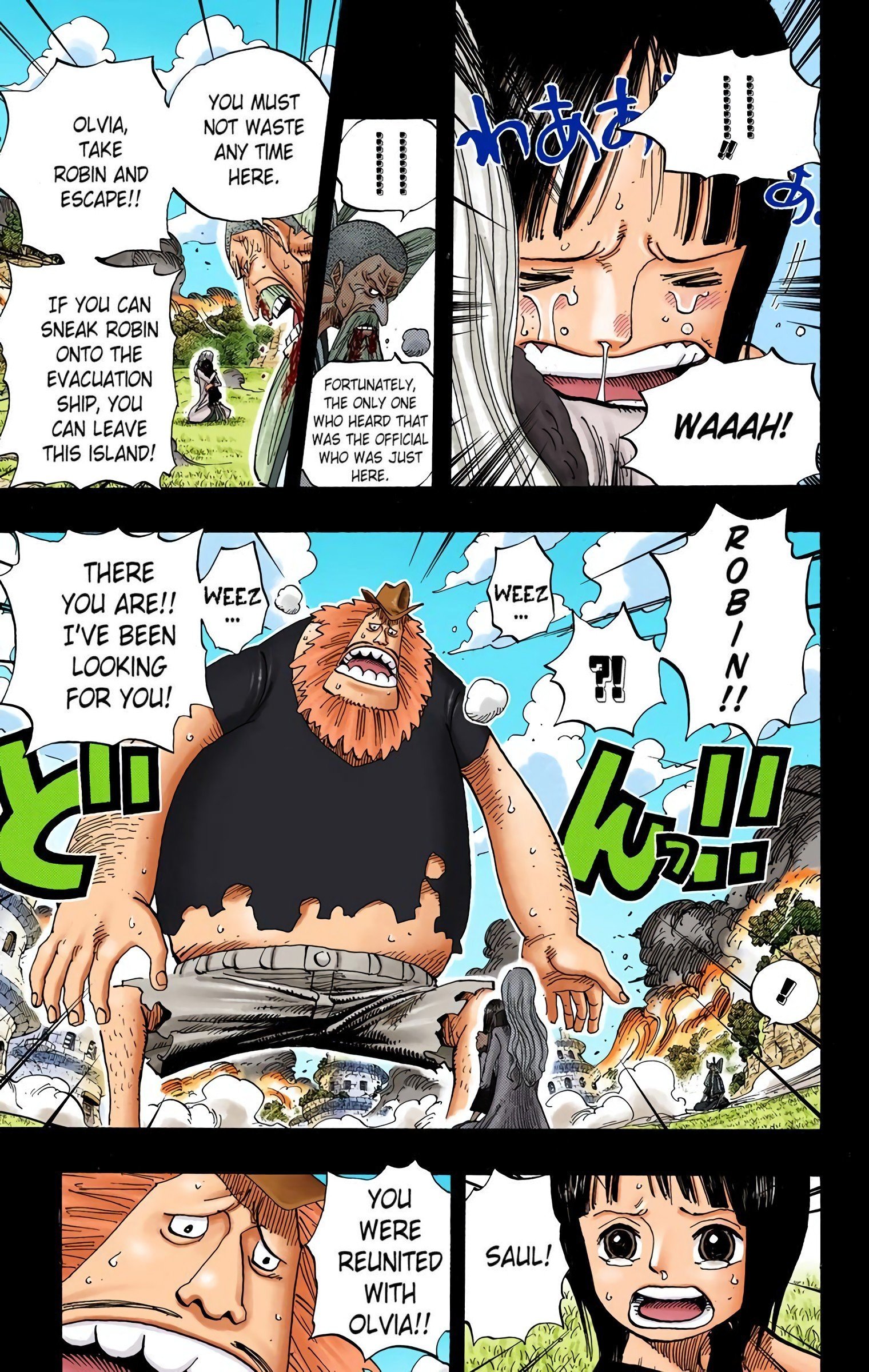 One Piece Colored Manga