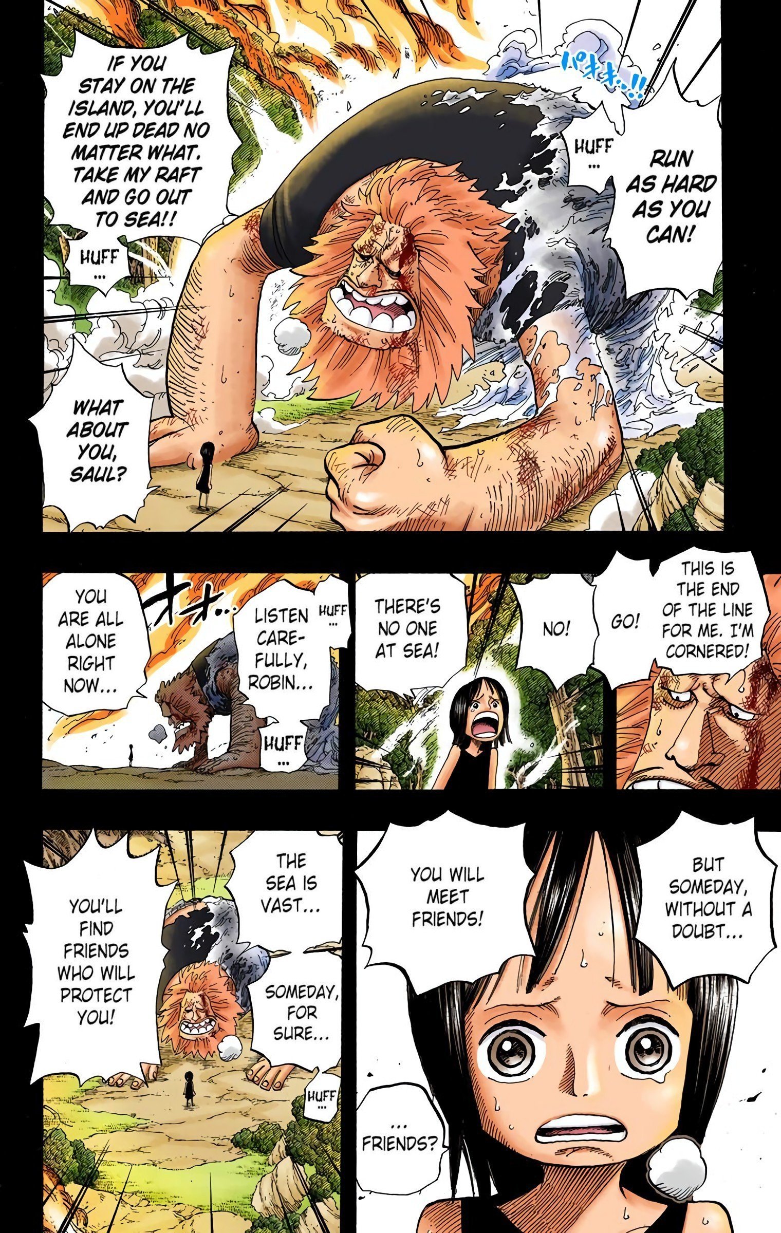 One Piece Colored Manga