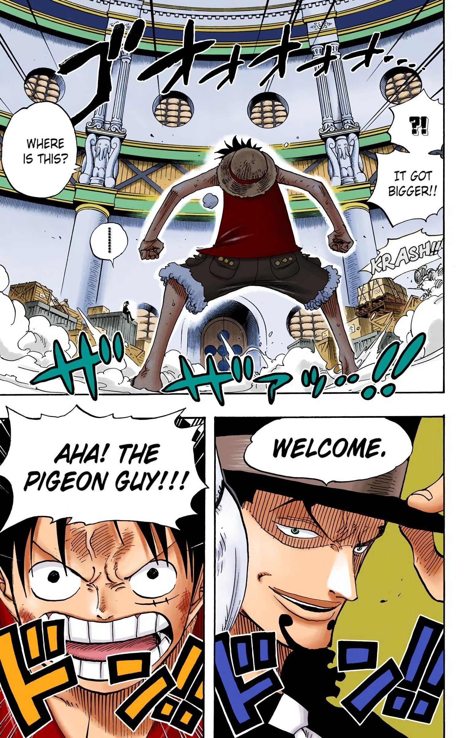 One Piece Colored Manga