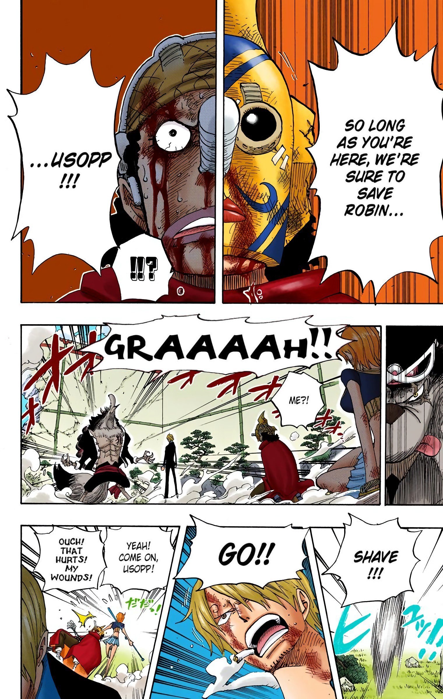 One Piece Colored Manga