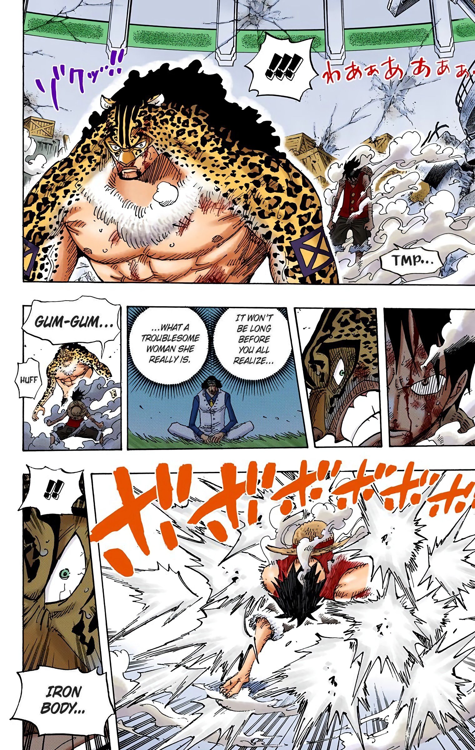 One Piece Colored Manga