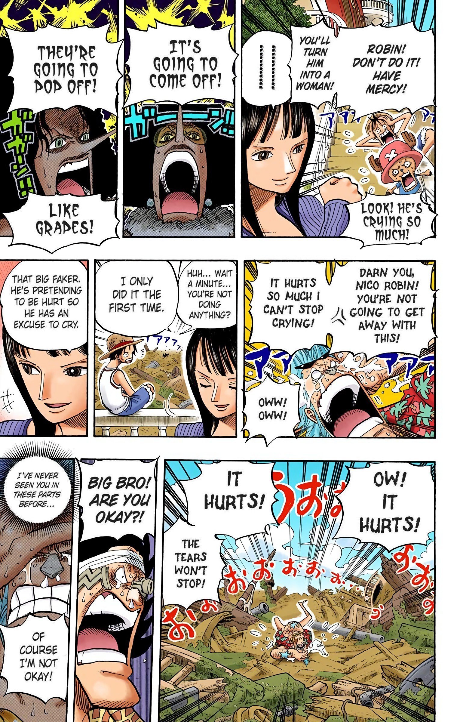 One Piece Colored Manga