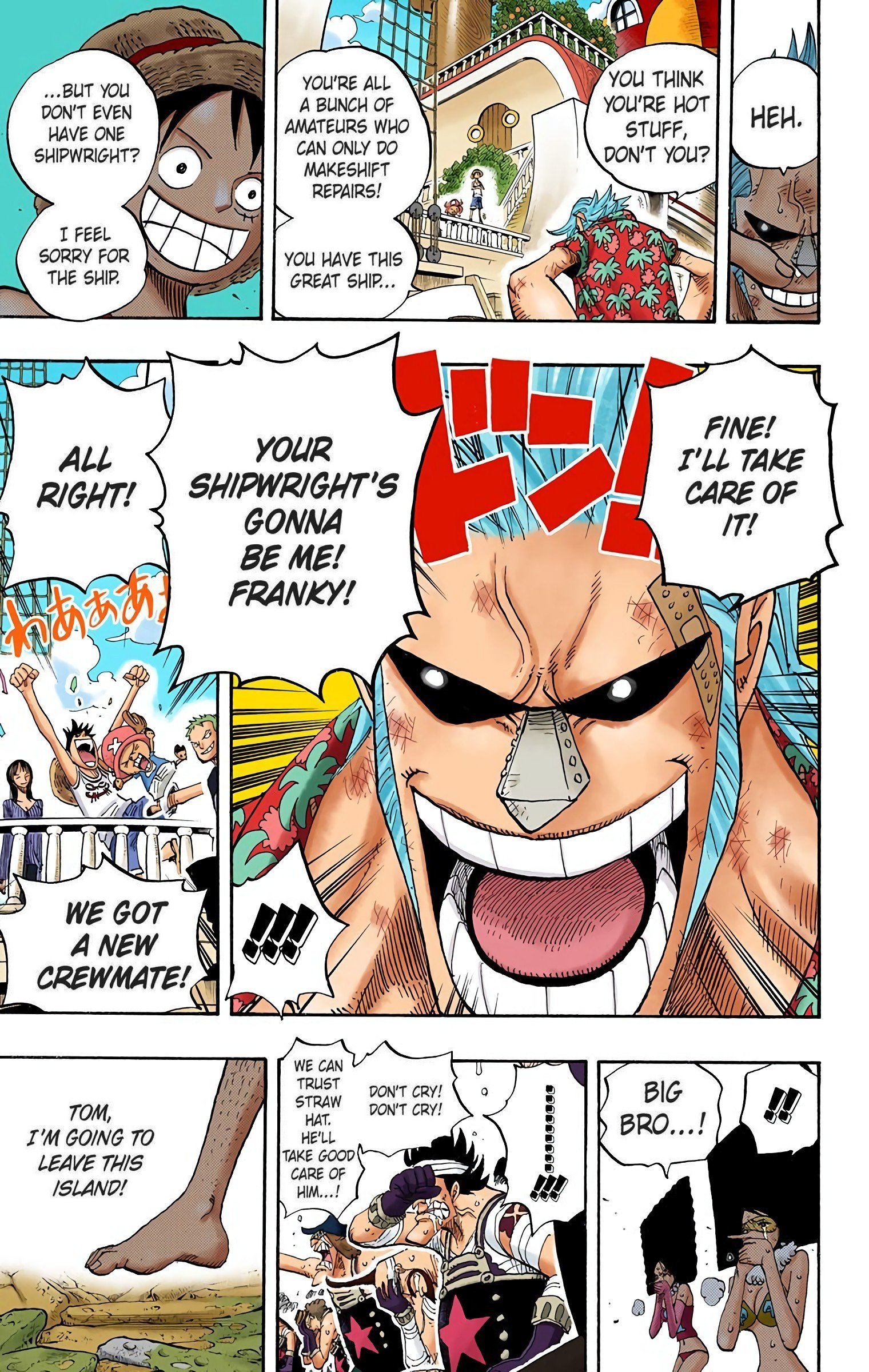 One Piece Colored Manga