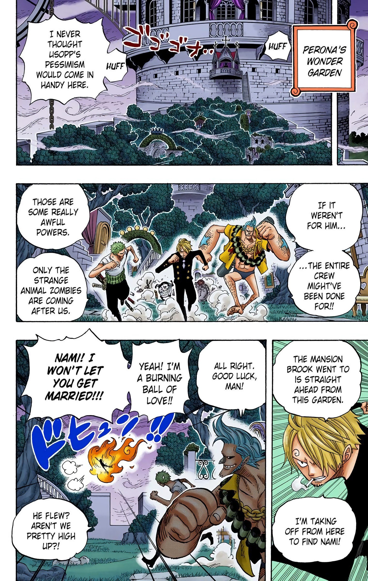 One Piece Colored Manga