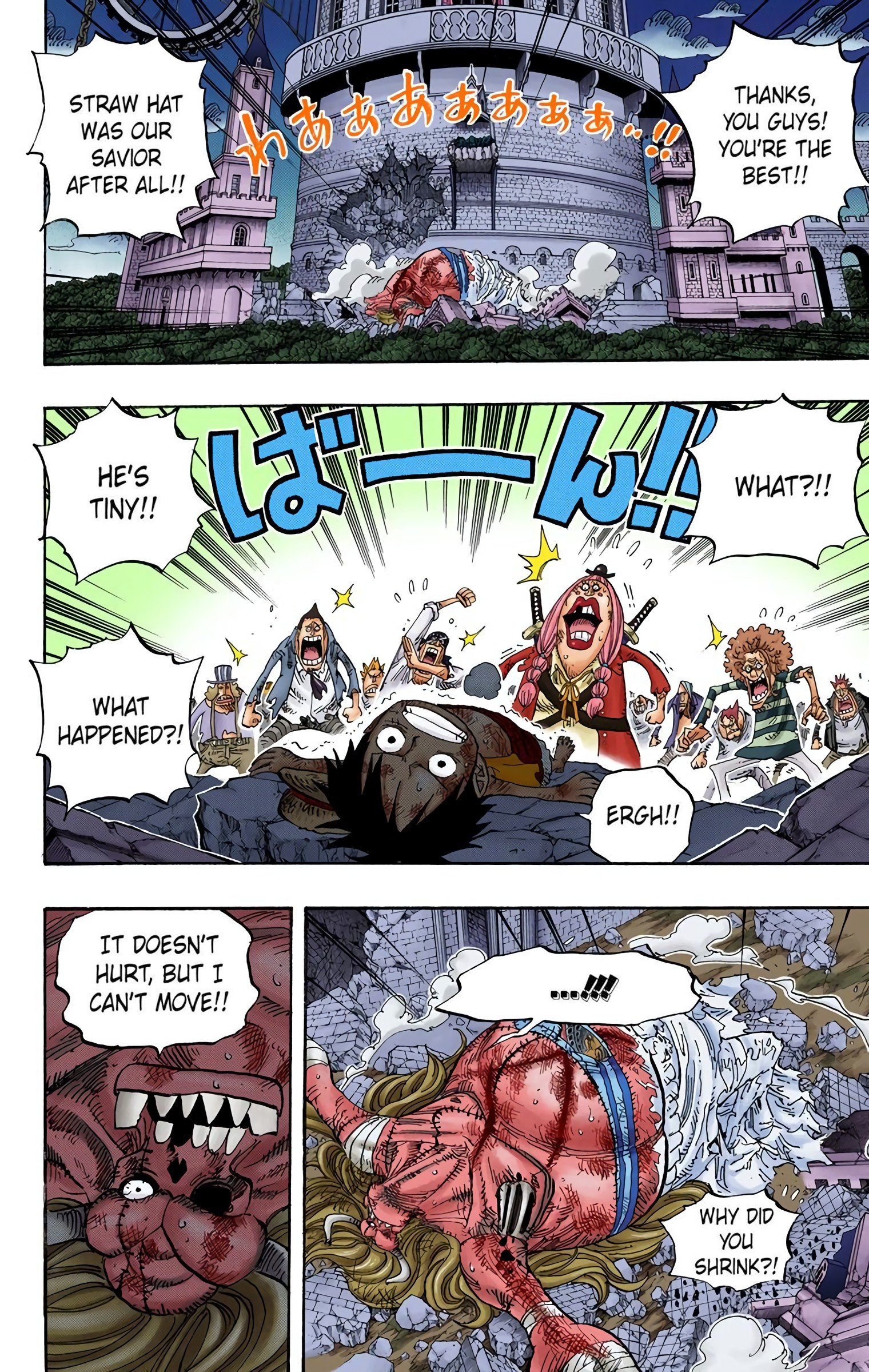 One Piece Colored Manga