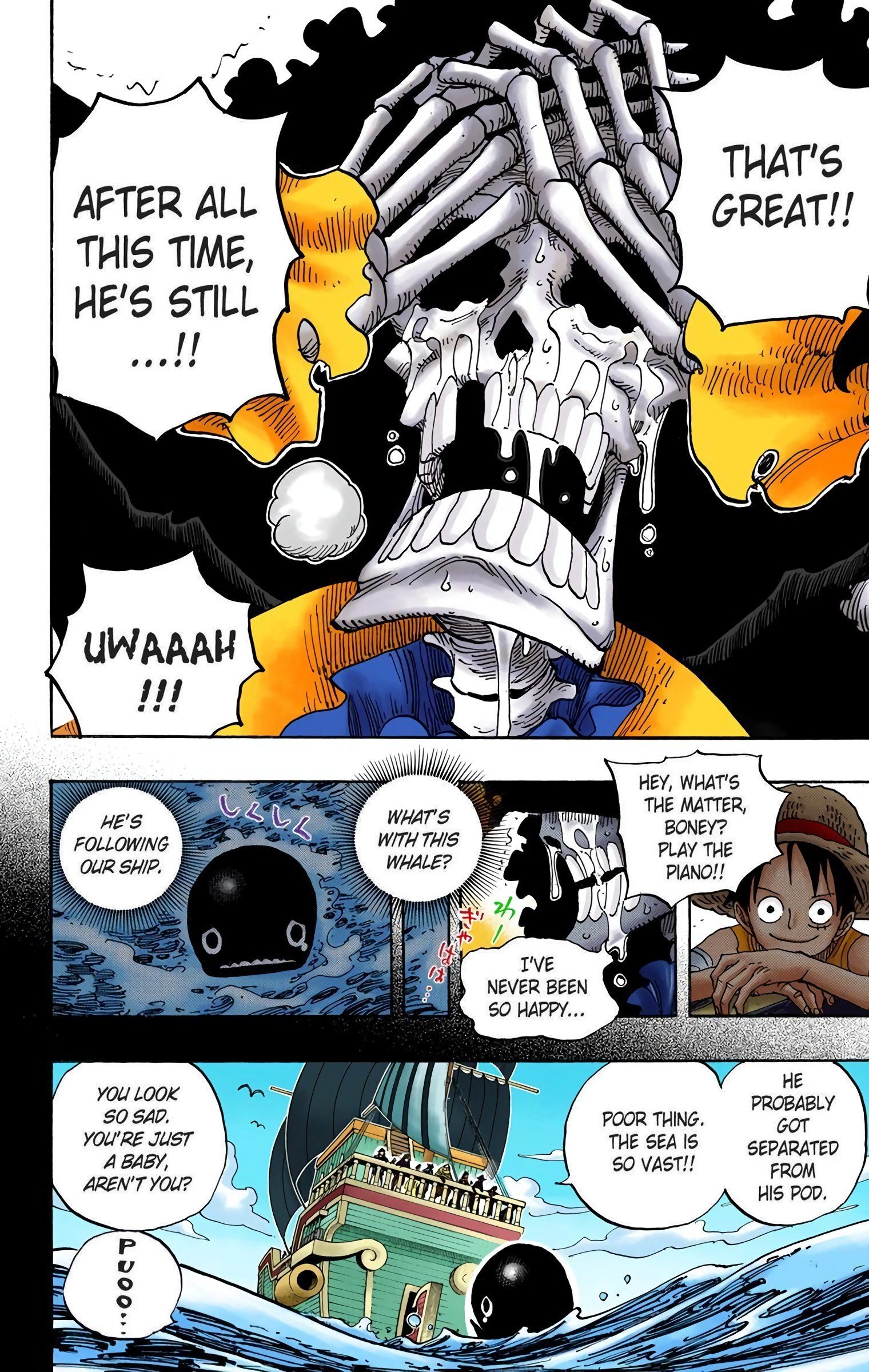 One Piece Colored Manga