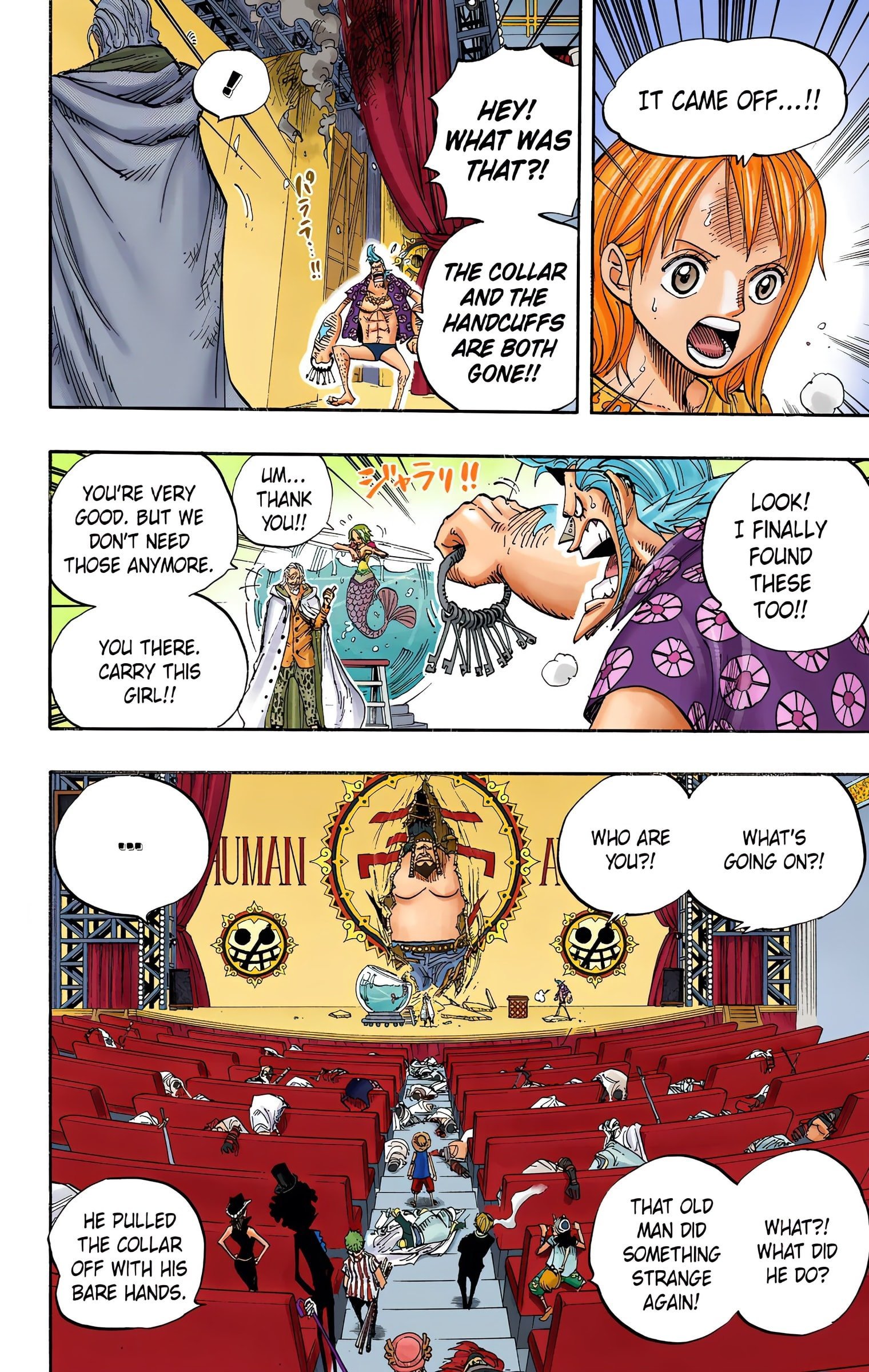 One Piece Colored Manga