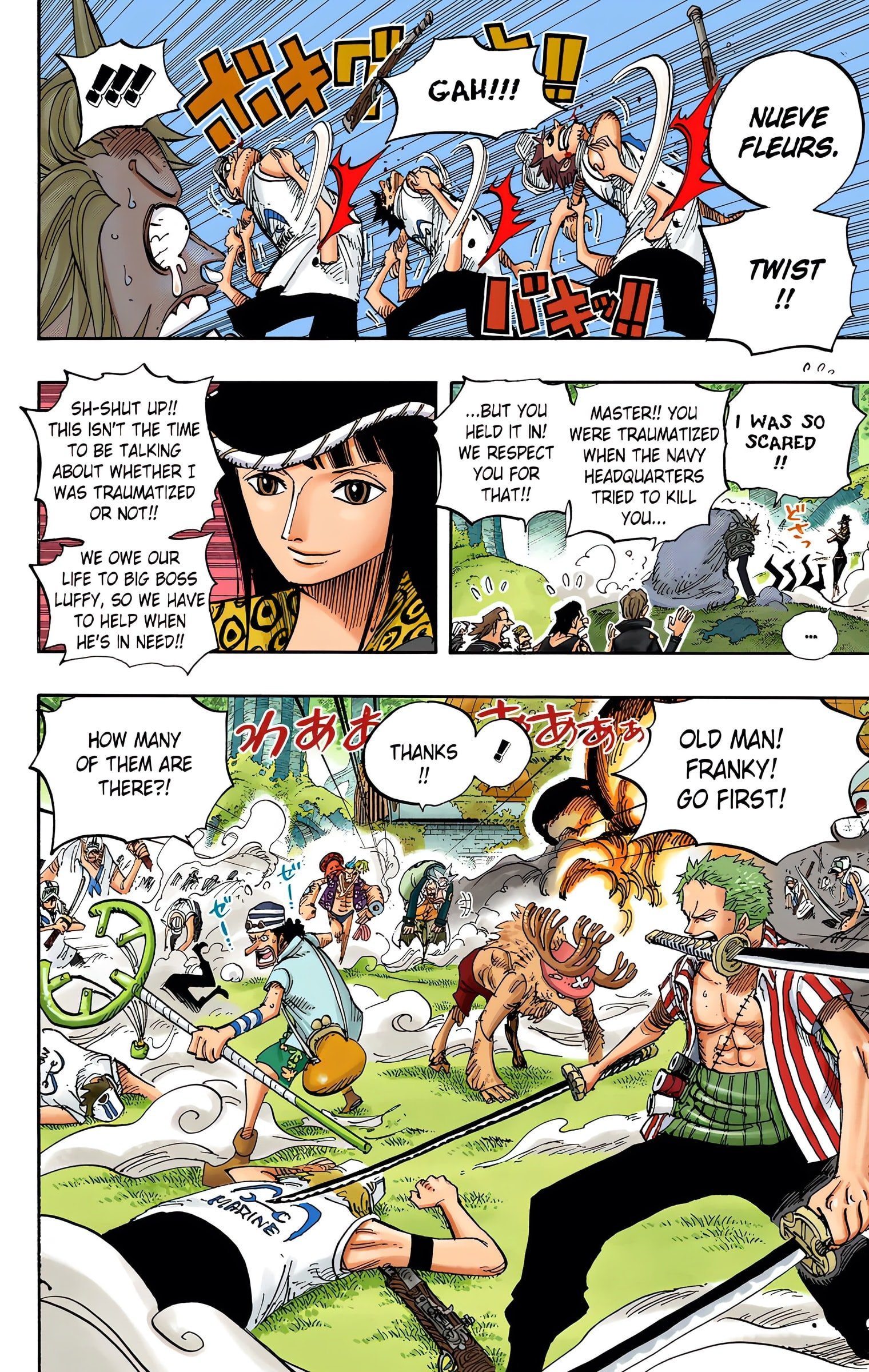 One Piece Colored Manga