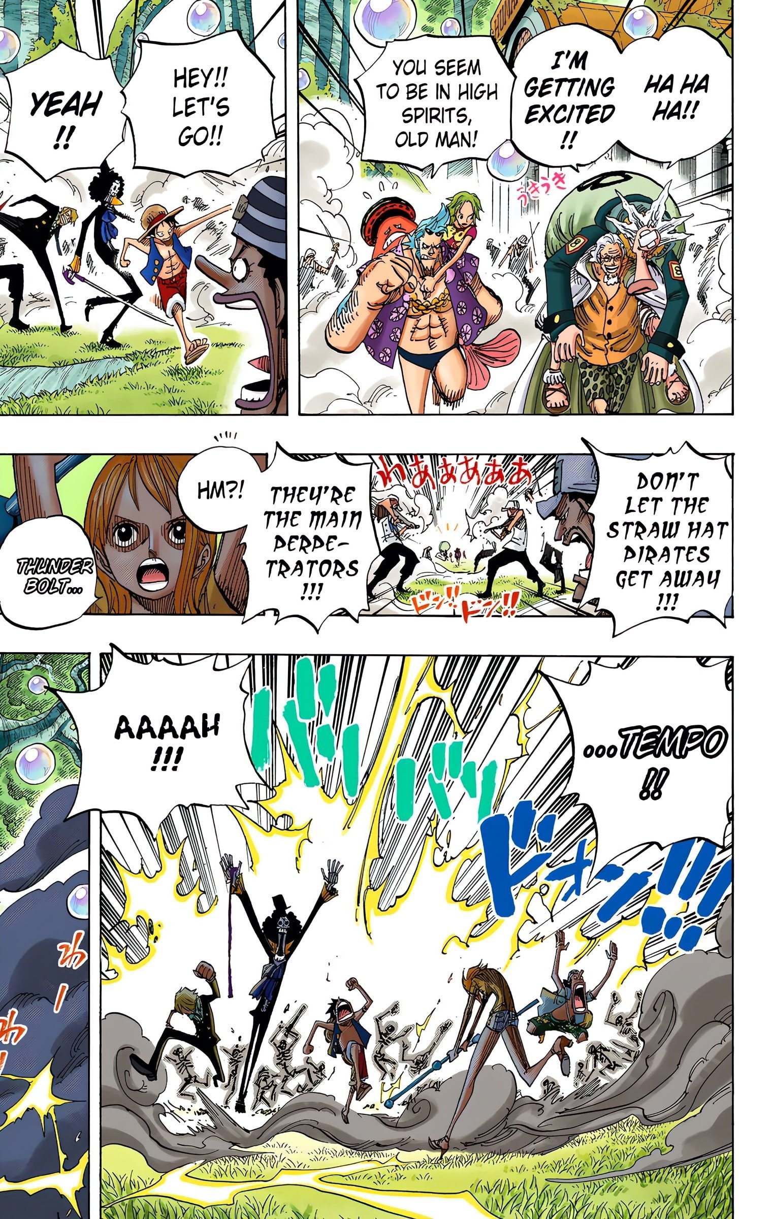 One Piece Colored Manga