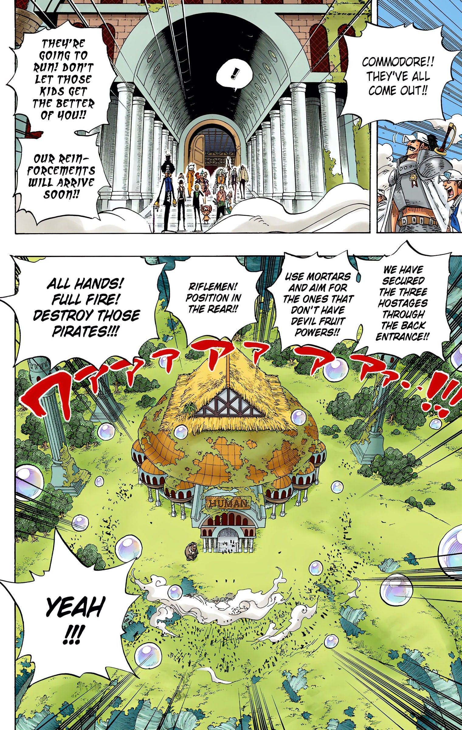 One Piece Colored Manga