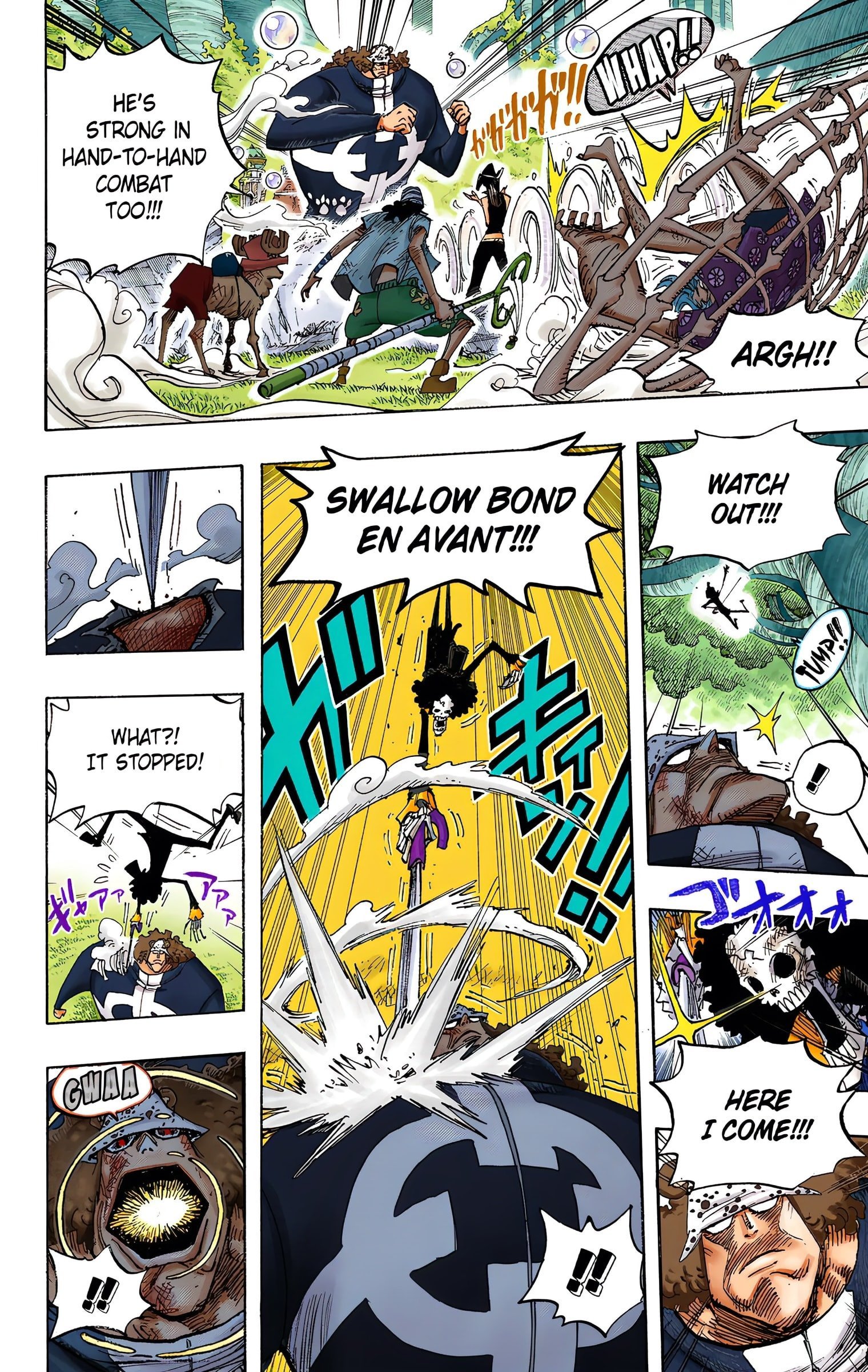 One Piece Colored Manga