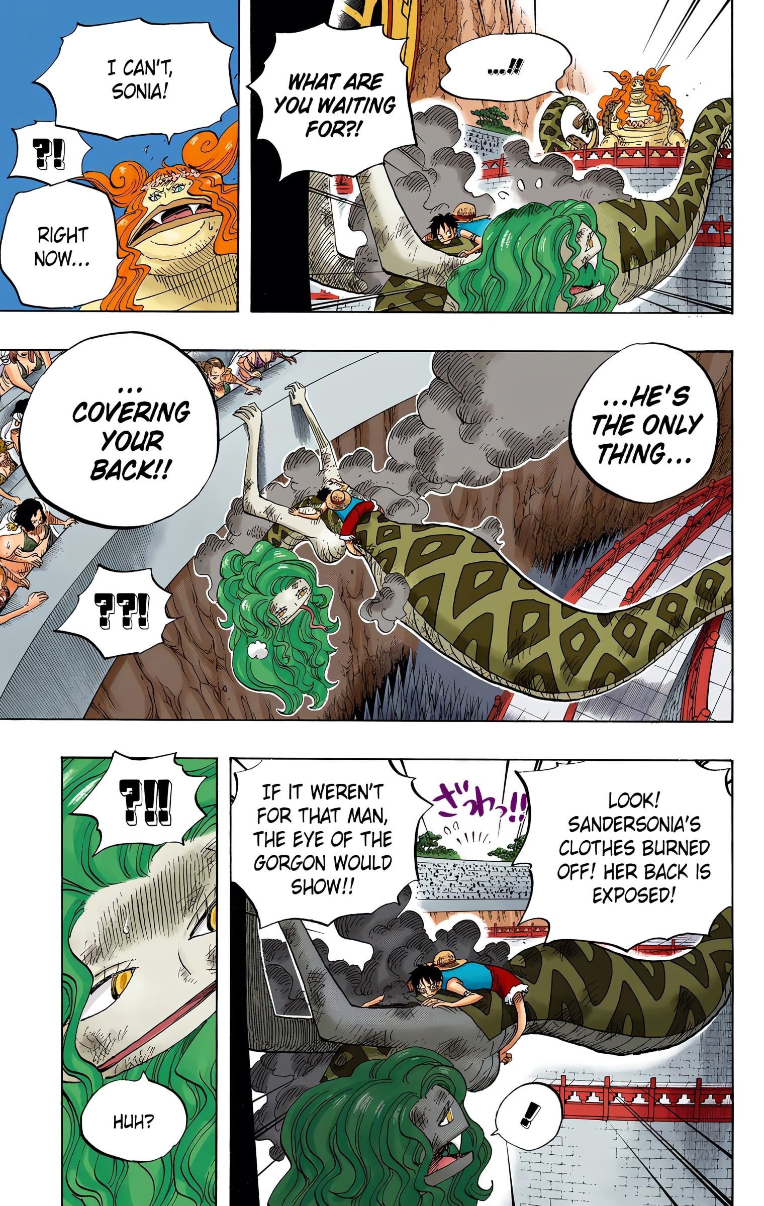 One Piece Colored Manga