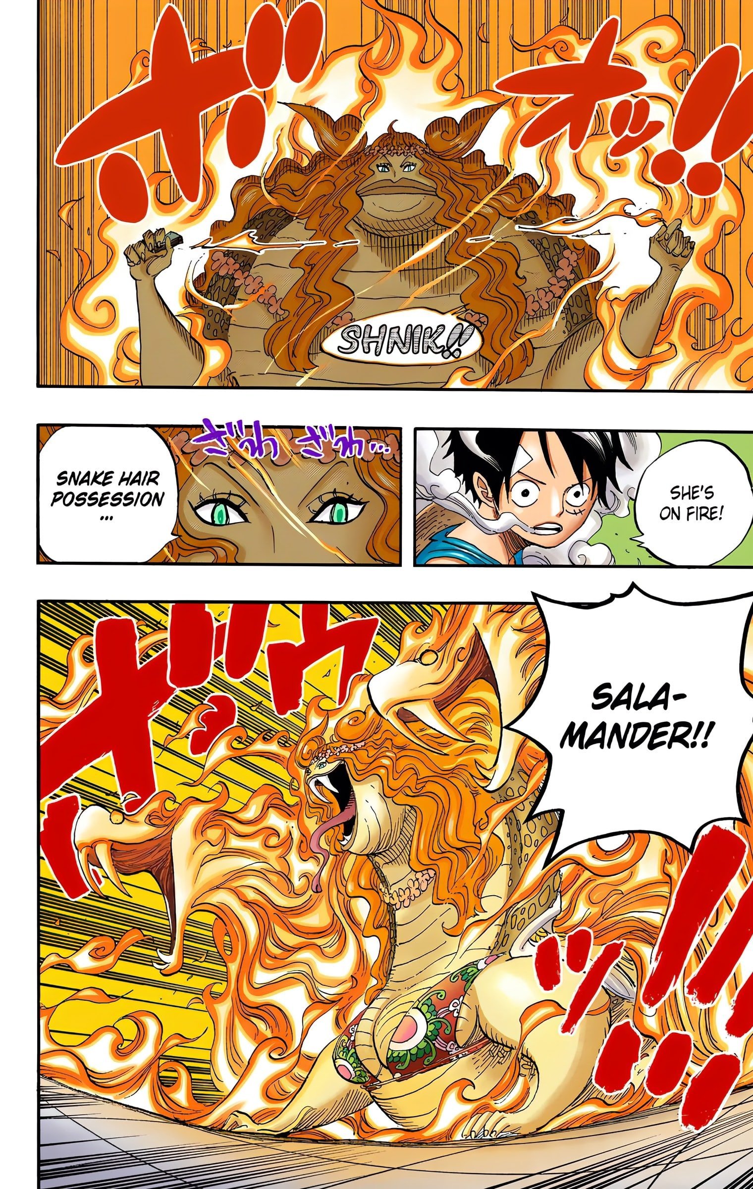 One Piece Colored Manga