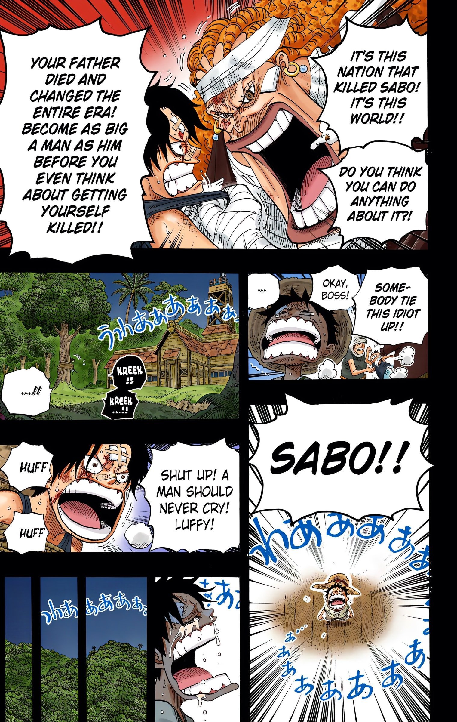 One Piece Colored Manga