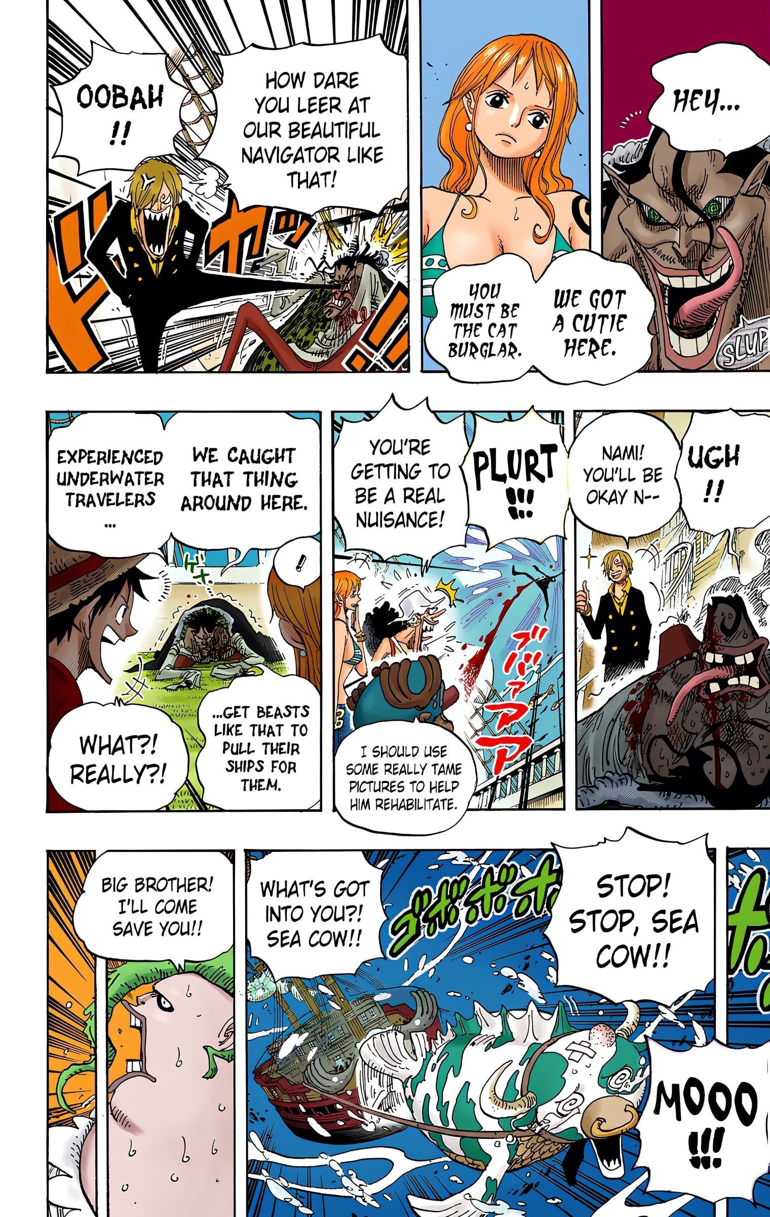 One Piece Colored Manga