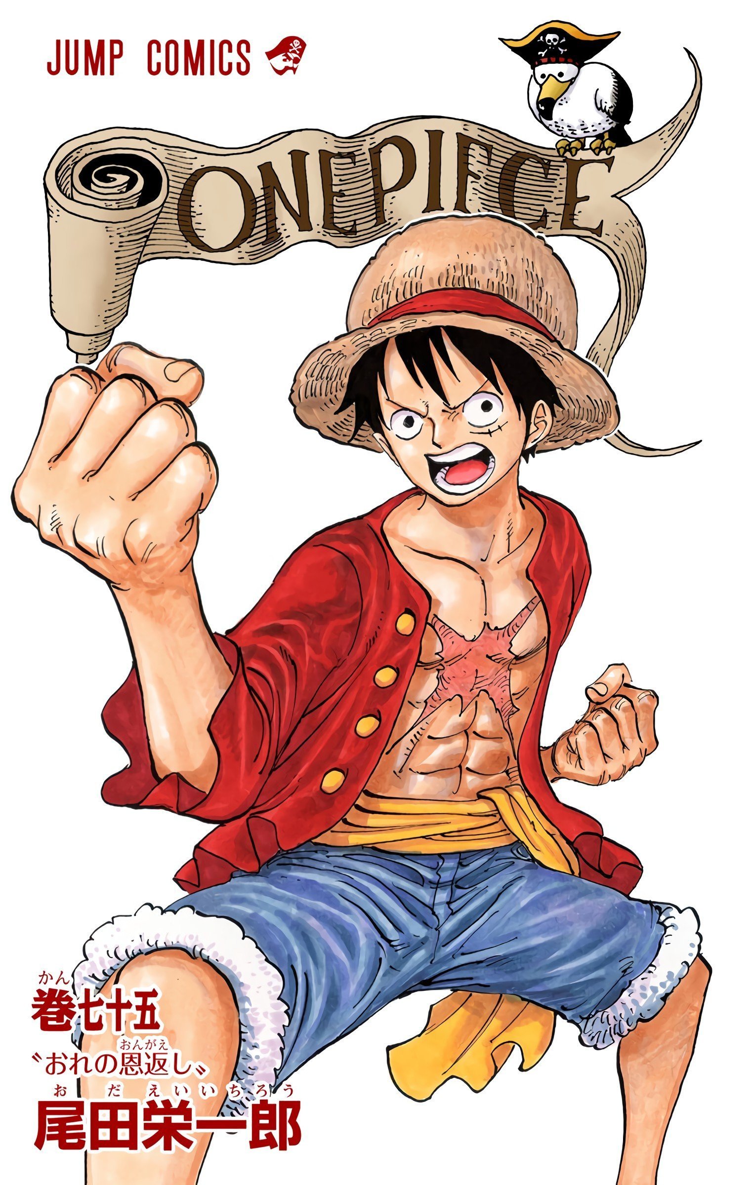 One Piece Colored Manga