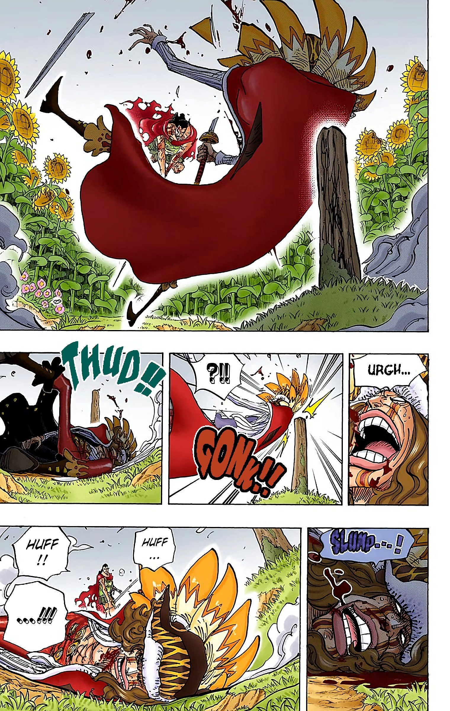 One Piece Colored Manga