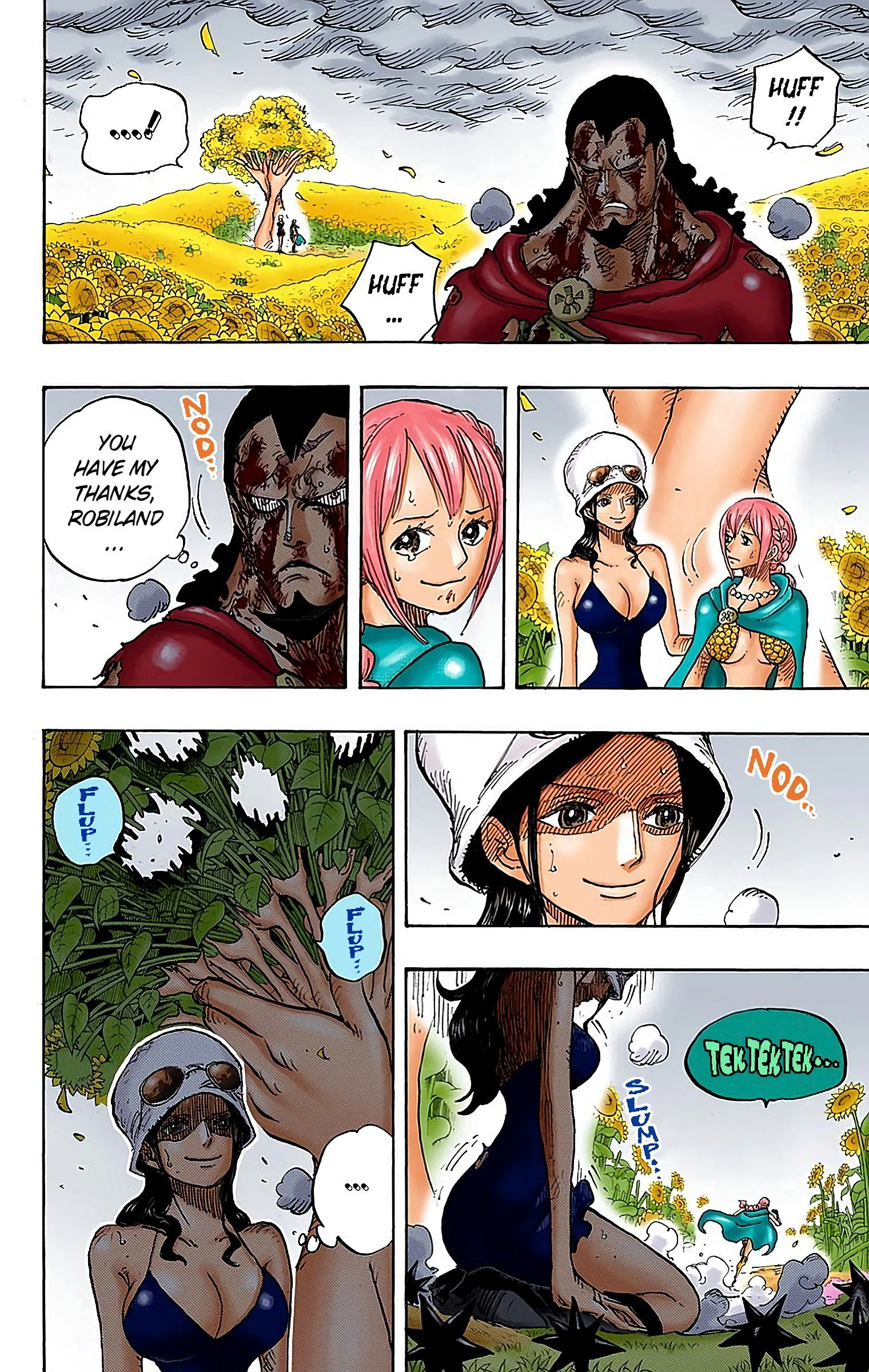 One Piece Colored Manga