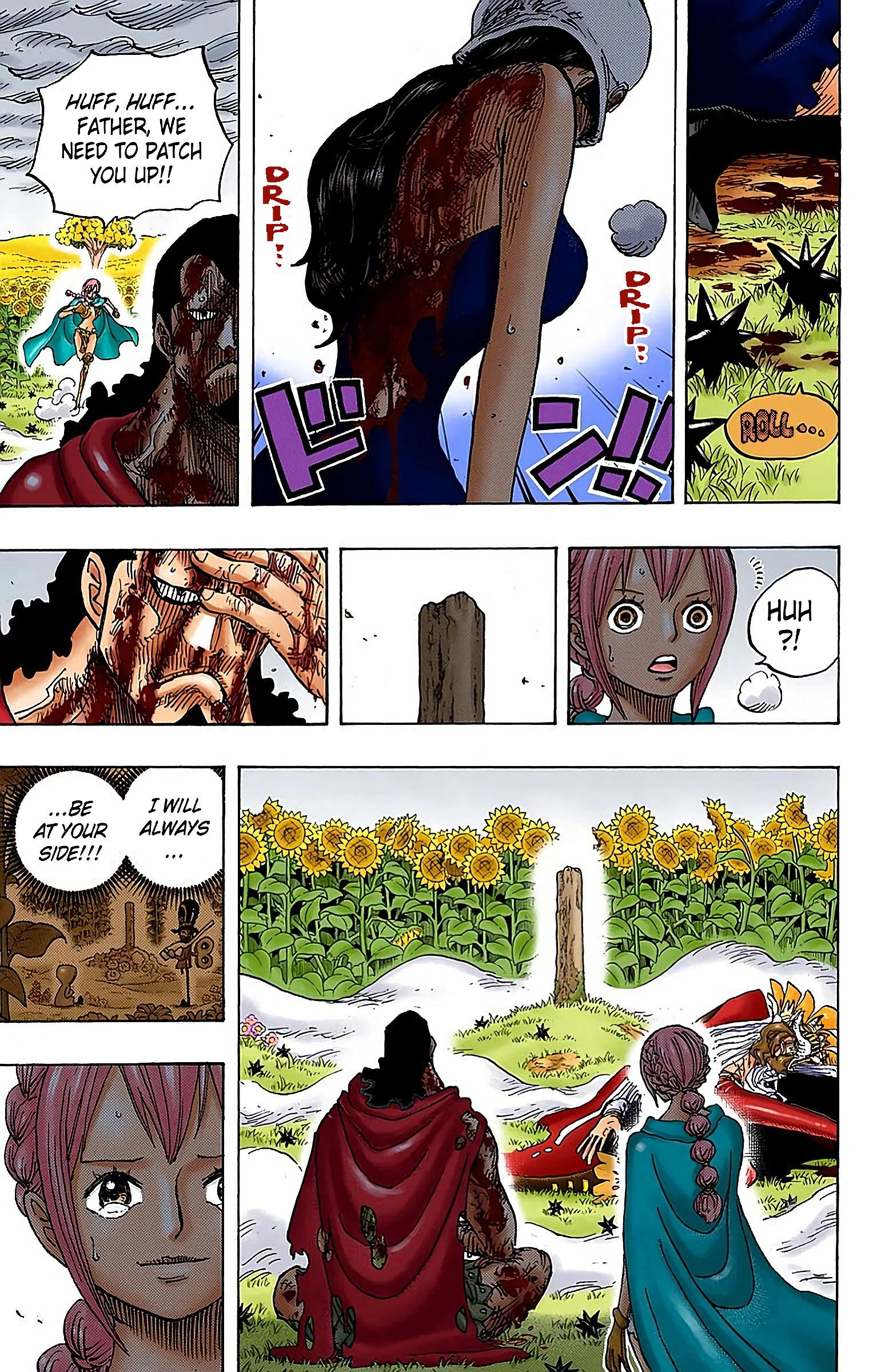 One Piece Colored Manga