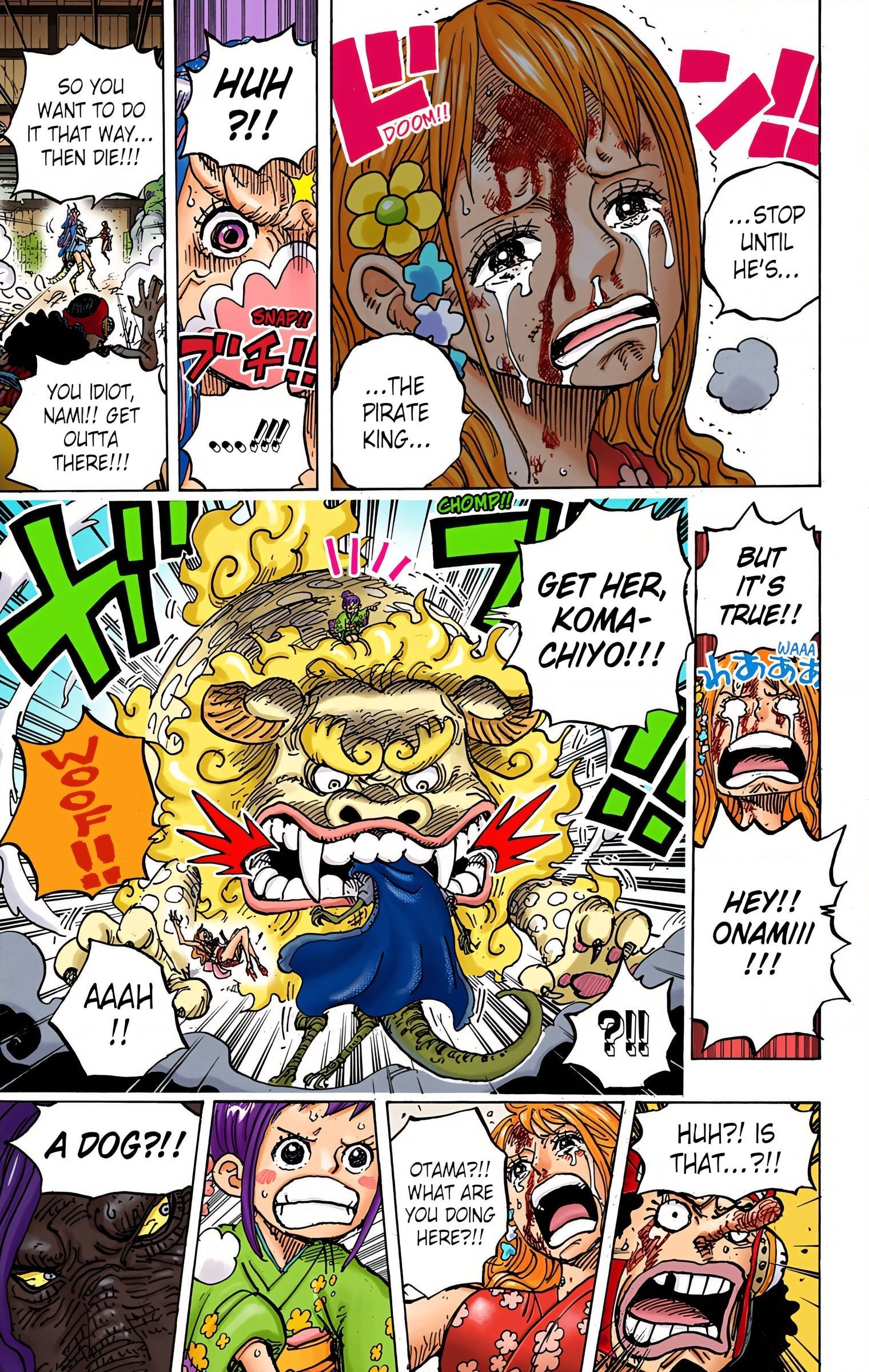 One Piece Colored Manga