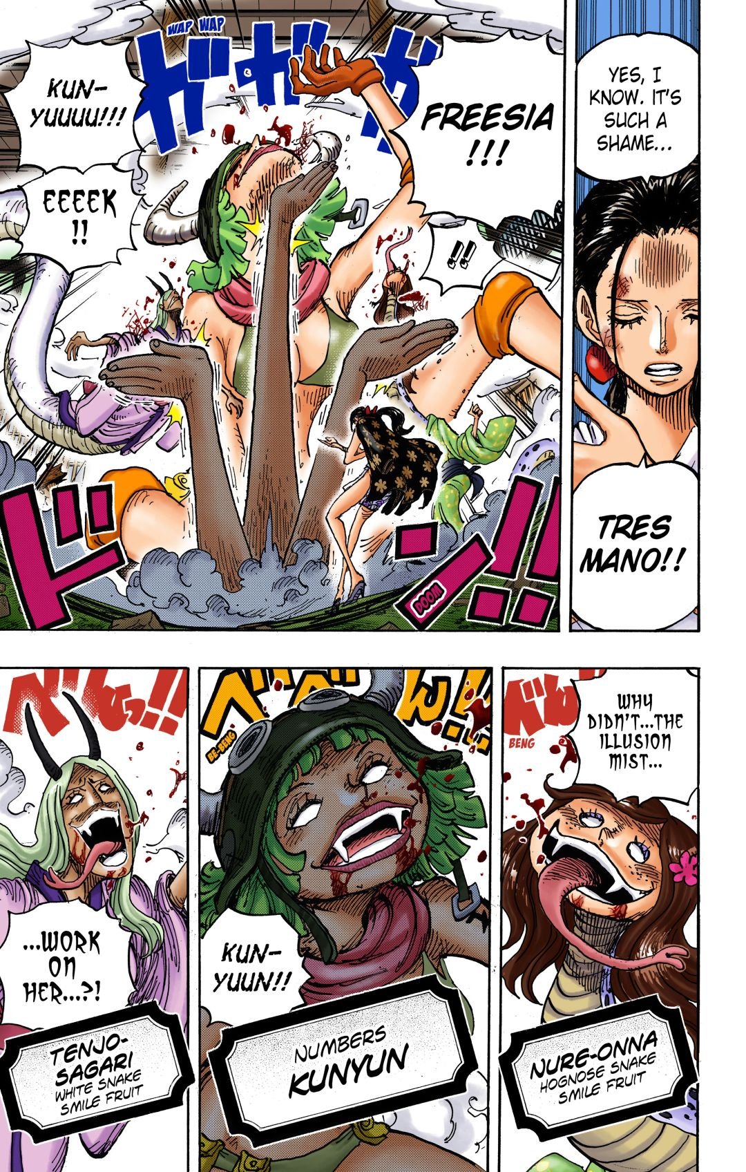 One Piece Colored Manga