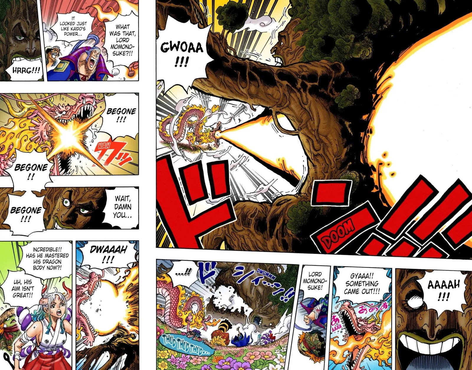 One Piece Colored Manga