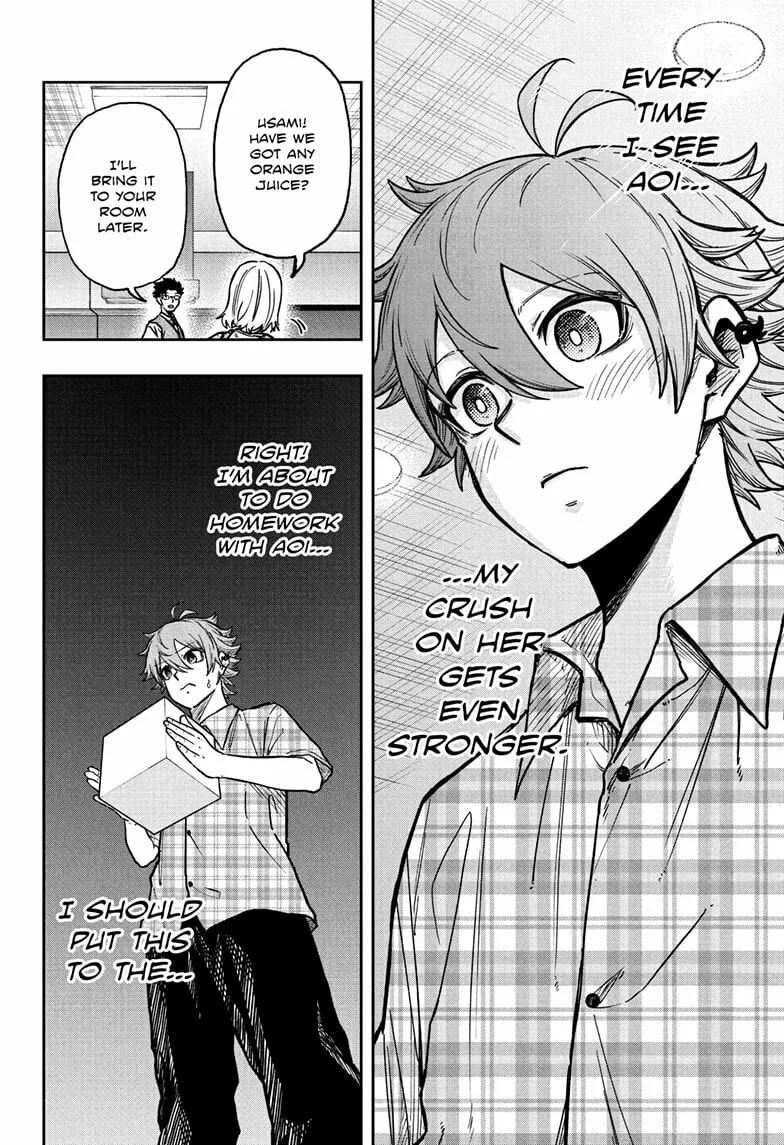 Shinobi Undercover Manga