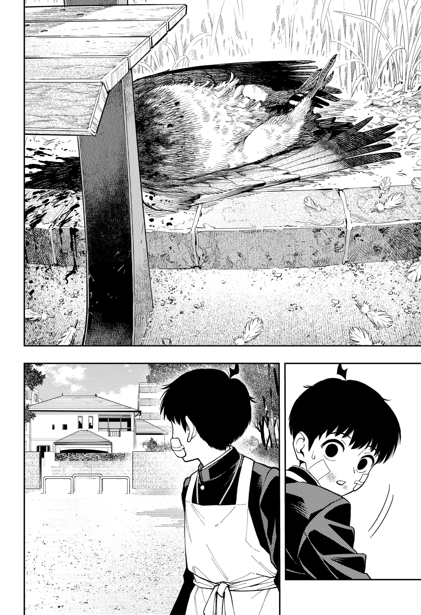 Asura Verdict