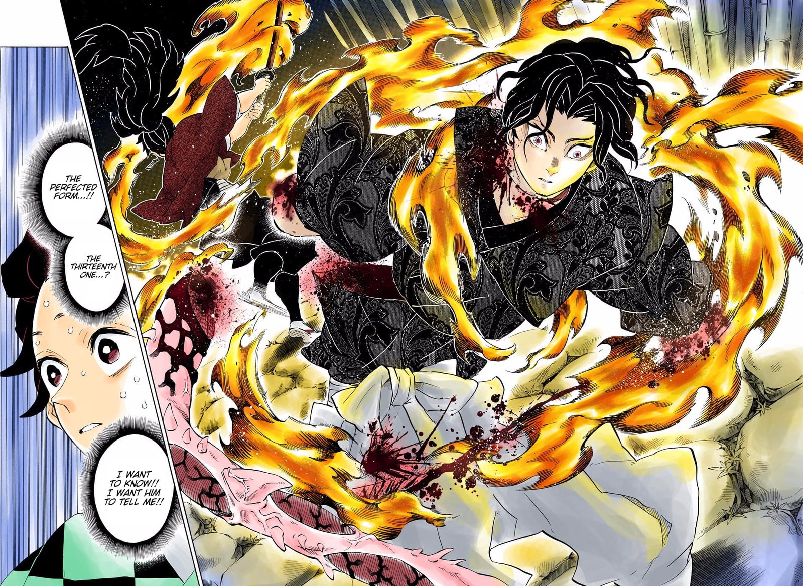 Demon Slayer Infinity Castle Colored Manga