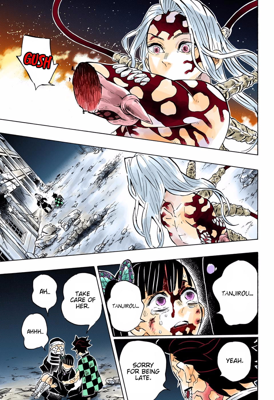 Demon Slayer Infinity Castle Colored Manga