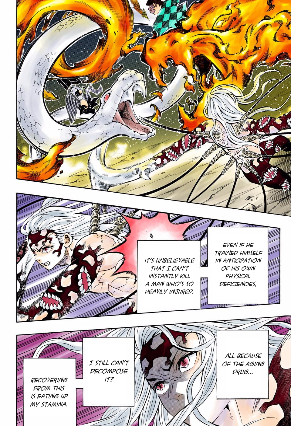 Demon Slayer Infinity Castle Colored Manga