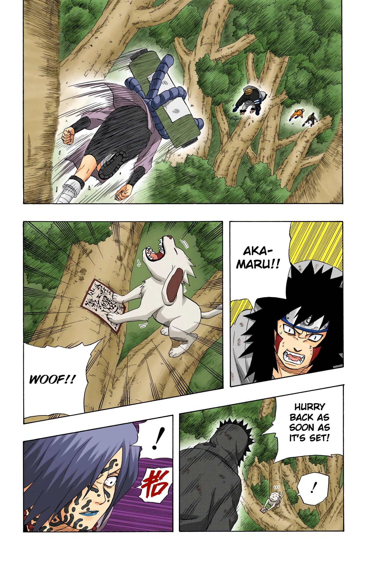 Naruto Colored Manga