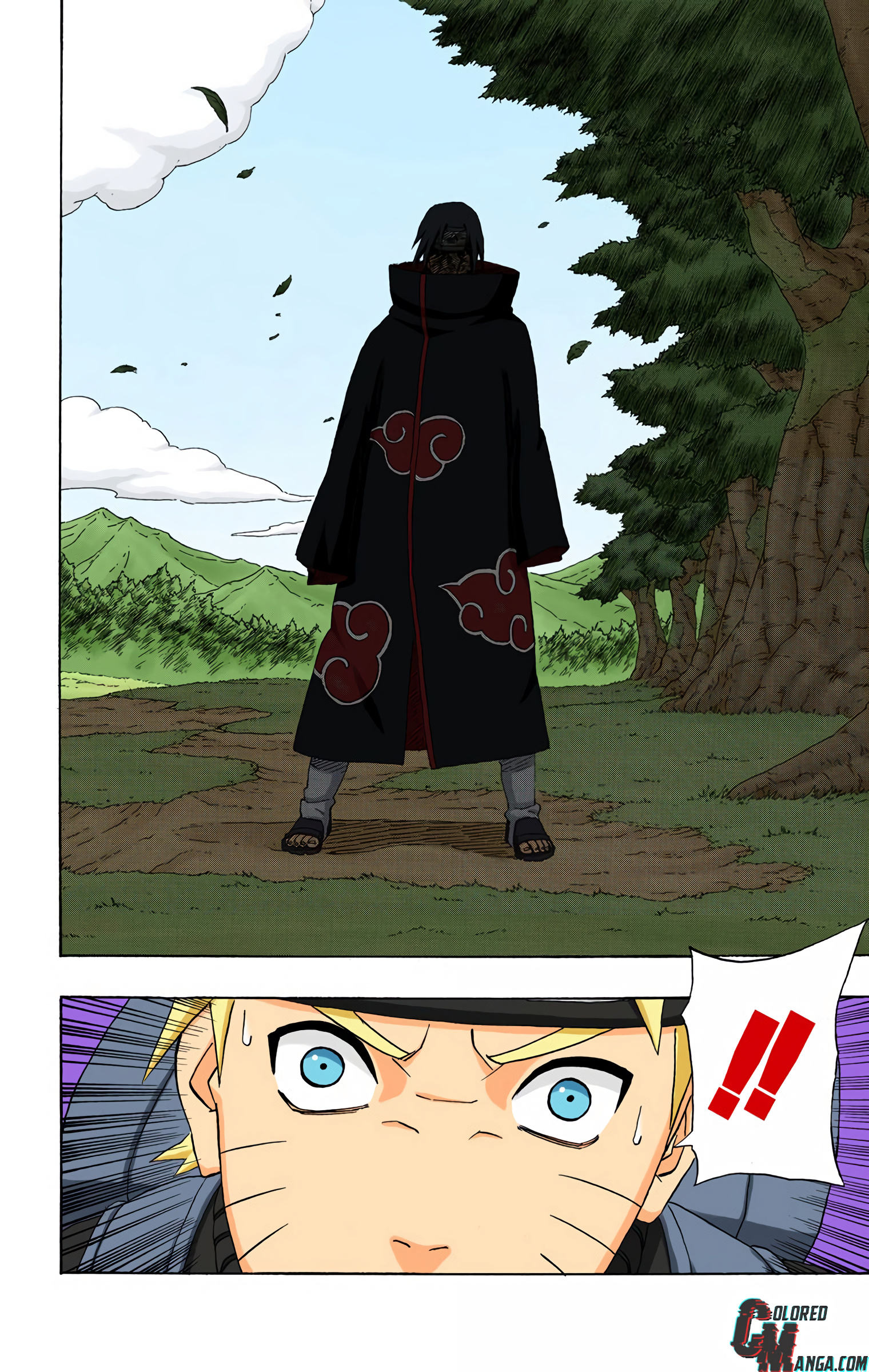 Naruto Colored Manga