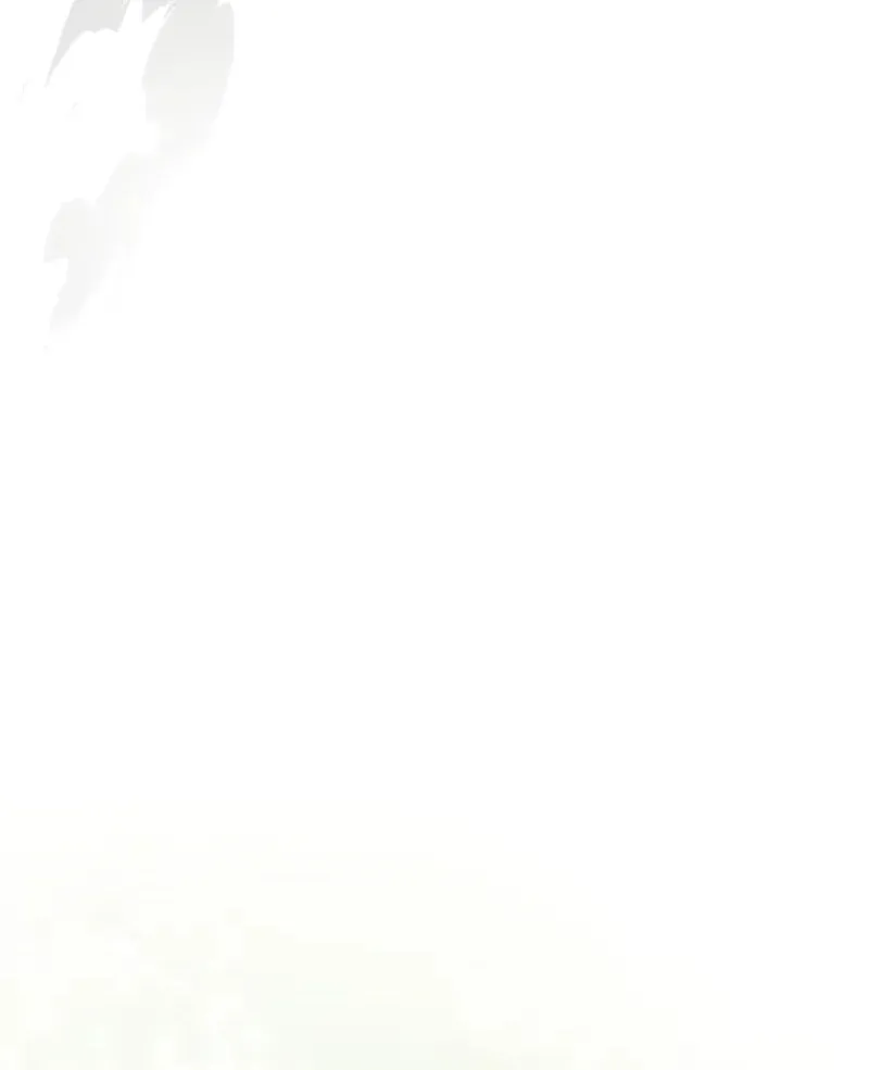 A Genius Wizard Who Breaks Boundaries